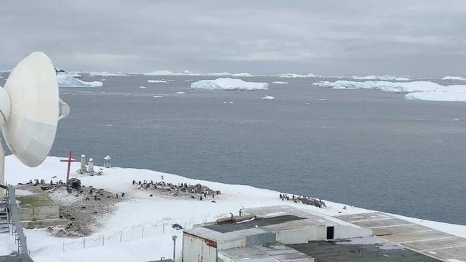 El coronavirus llega a la Antrtida con un brote en una base militar de Chile