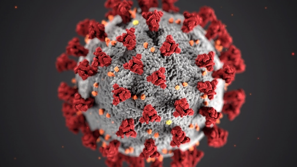 Coronavirus: E484K, la mutación del Covid-19 que podría ser un problema  para las vacunas | MARCA Claro México