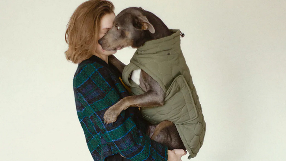 réplica Sin valor vegetariano Zara vende ropa para perros: ¿Cómo son los diseños? ¿Cuánto cuestan? ¿Dónde  se pueden comprar? | Actualidad