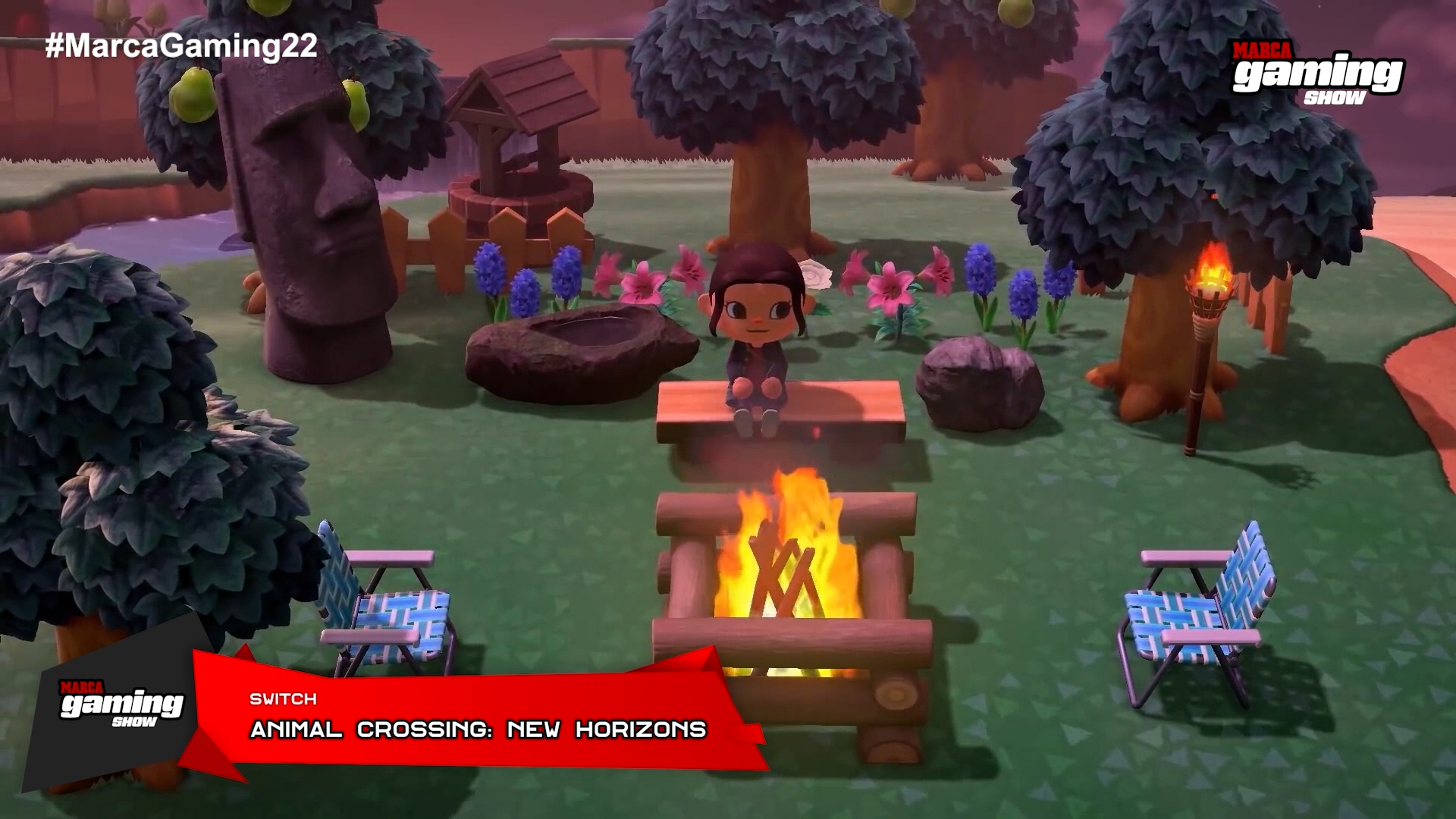 Animal Crossing: New Horizons (SWITCH)