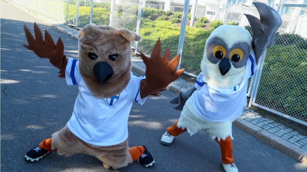 Dos búhos reales hace de mascota de Finlandia.