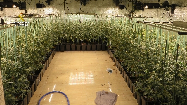 Plantacion de marihuana en camiones - Plantacion indoor - Operacion Guardia Civil