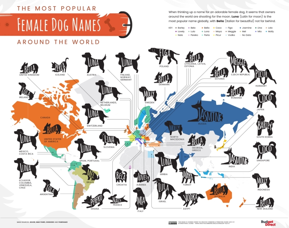 El mapa mundial de los nombres de perros: ¿cuál es el más común en España?  | Marca