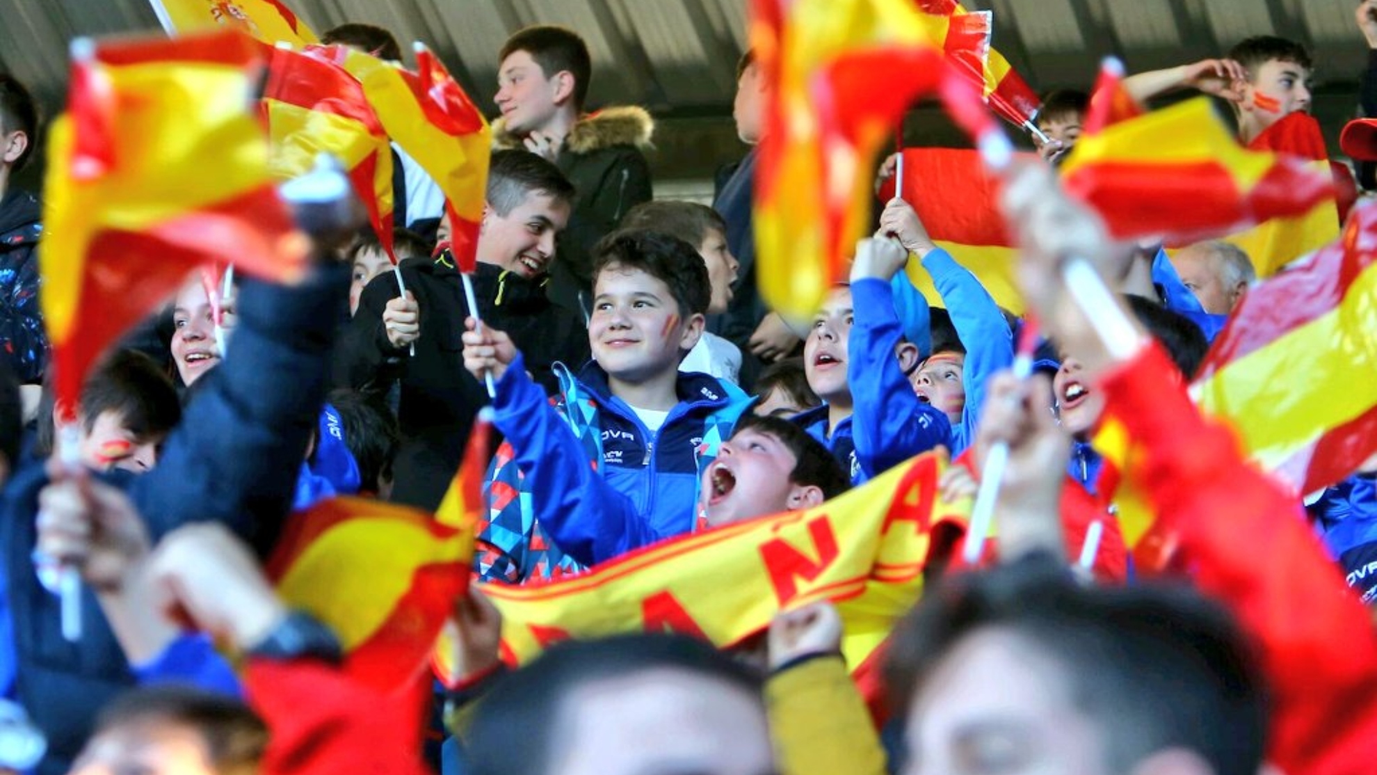 La afición española, durante un partido de la selección.