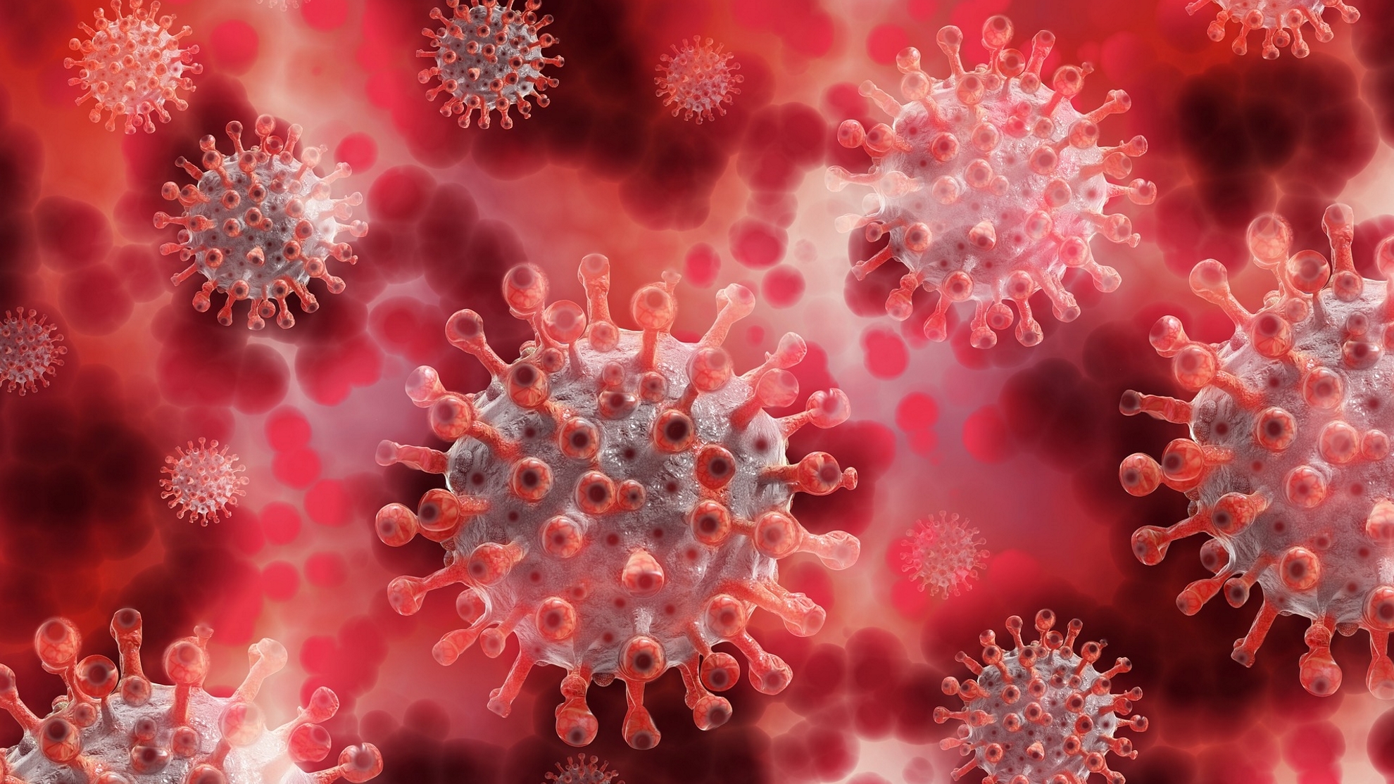 IHU New coronavirus variant detected in France   Marca