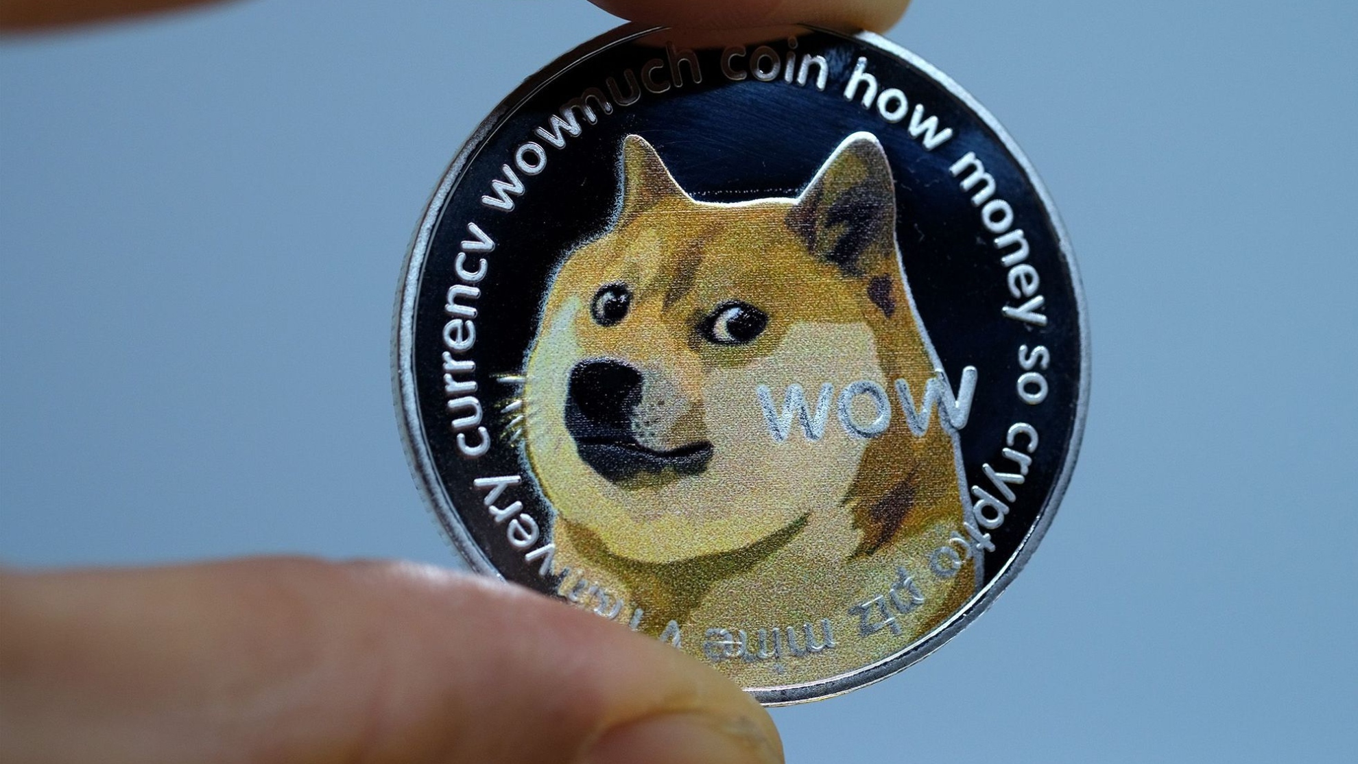 Cryptocurrency shiba inu coin 5 Cryptocurrencies
