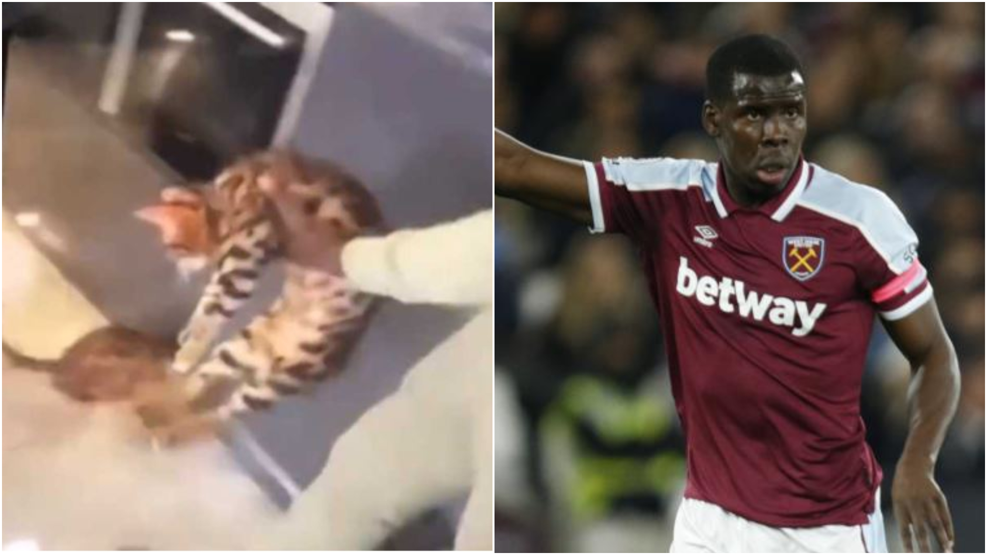 Rift in West Ham dressing room: Players shocked to learn how much Zouma was earning