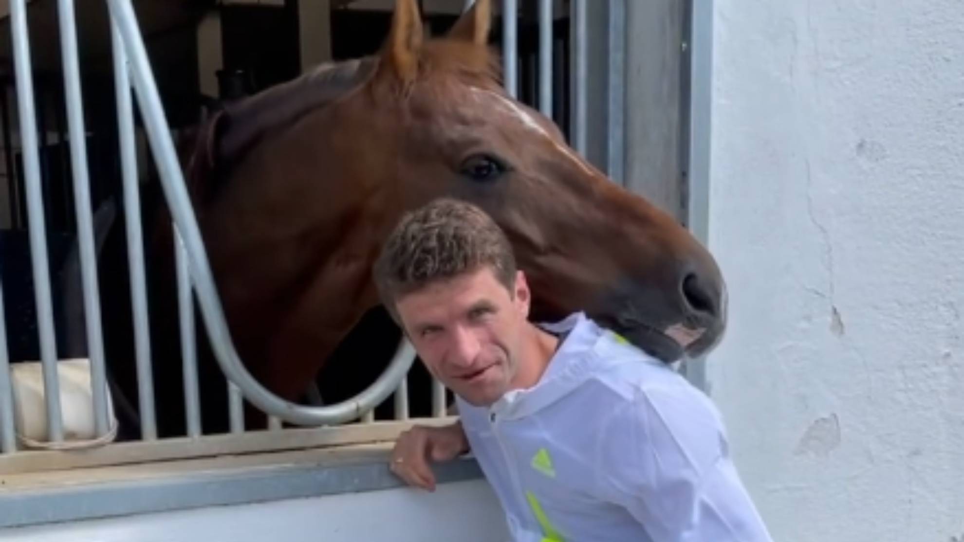 Bundesliga: Thomas Muller accused of forcing horses to perform 'unnatural  sexual acts' to sell their semen | Marca