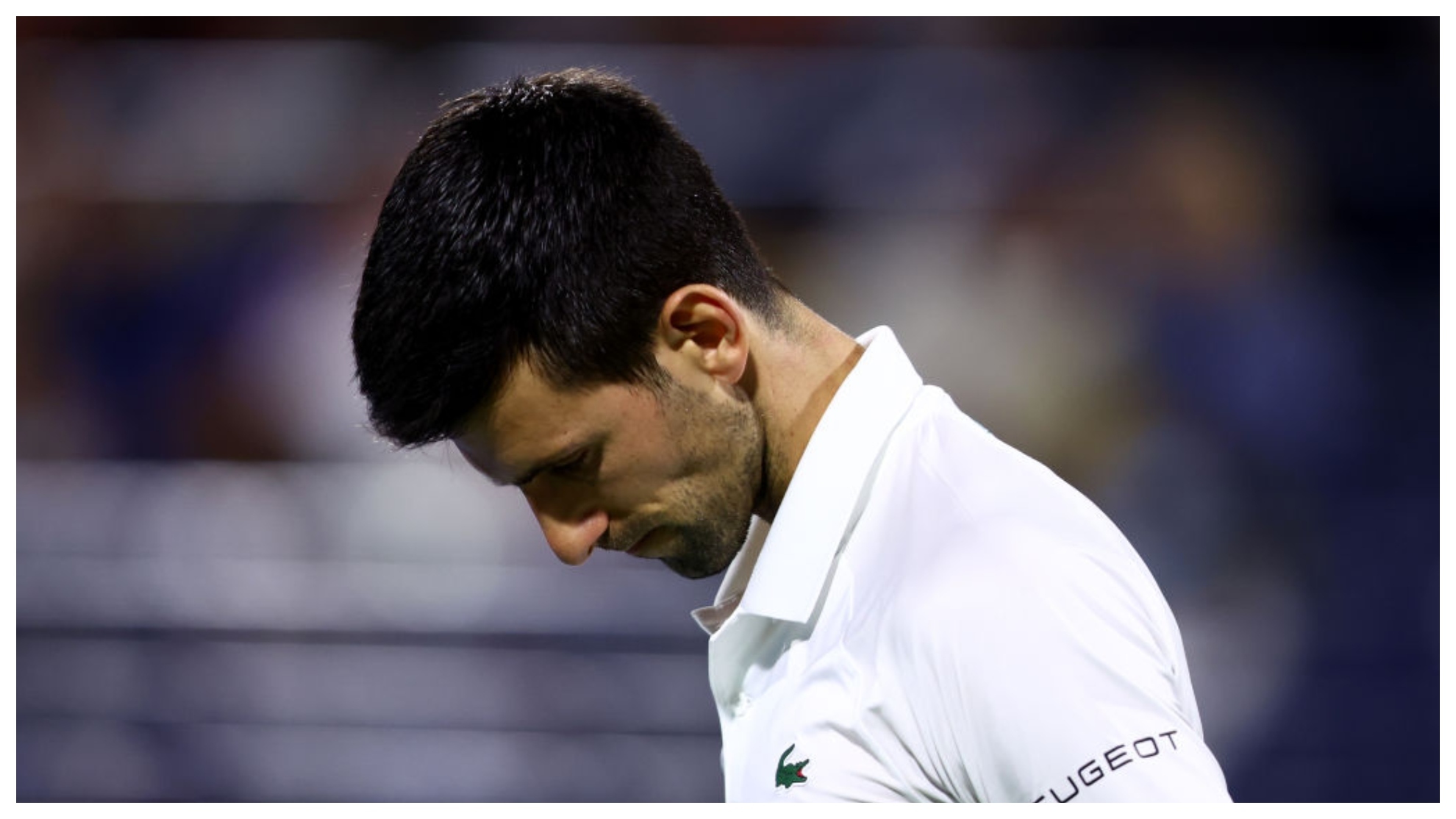 Djokovic, contrariado, durante el partido