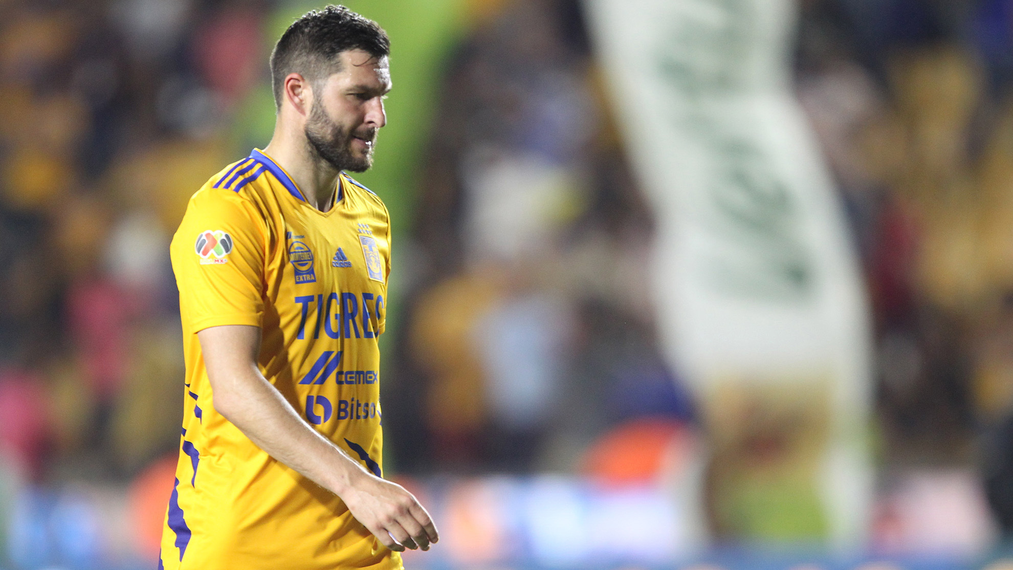 Noticias de Tigres: André-Pierre Gignac se perdería la última jornada del  Clausura 2022 | Marca