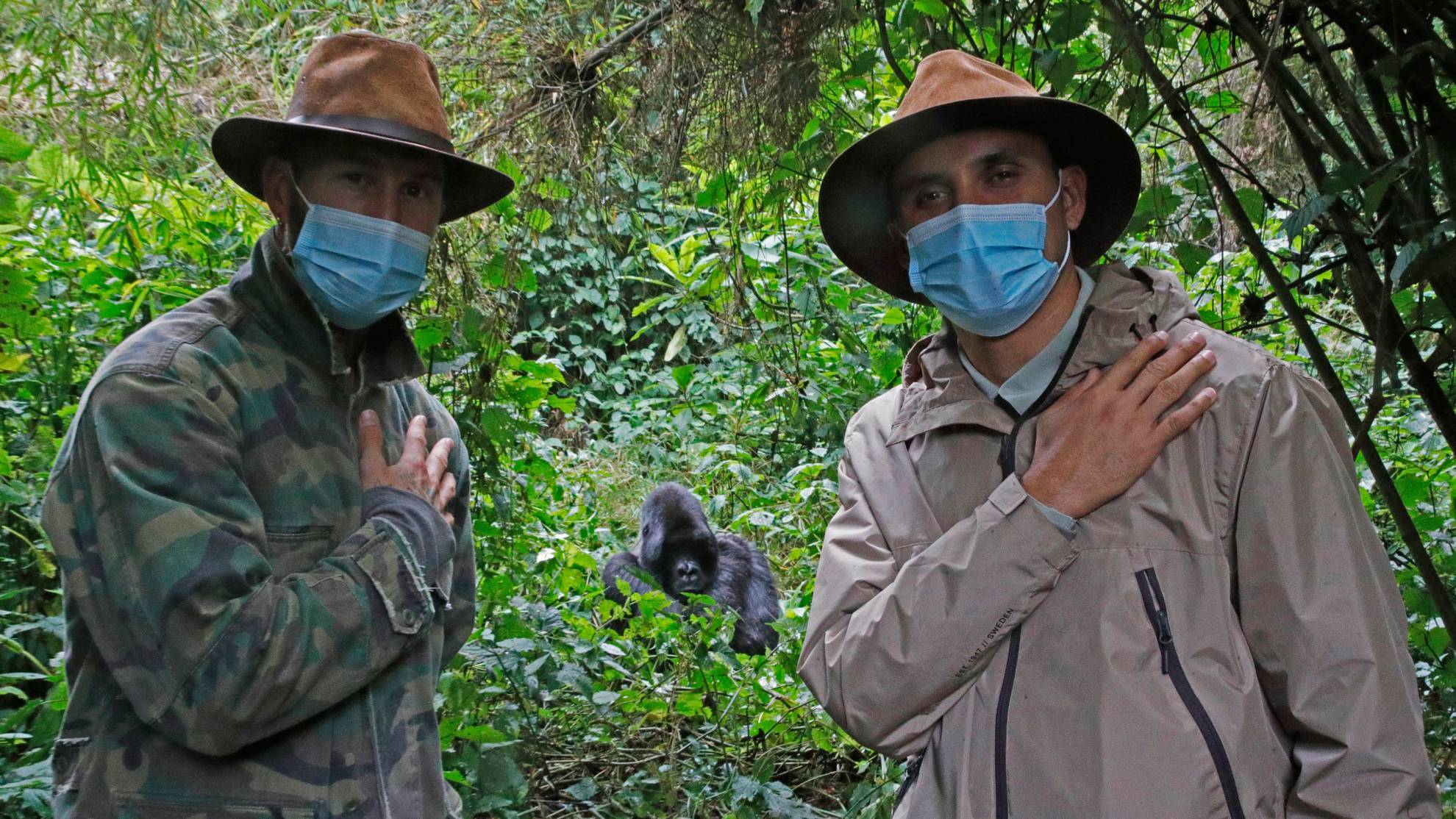 Ramos y Navas, con un gorila al fondo, en el Parque Nacional de los Volcanes de Ruanda.