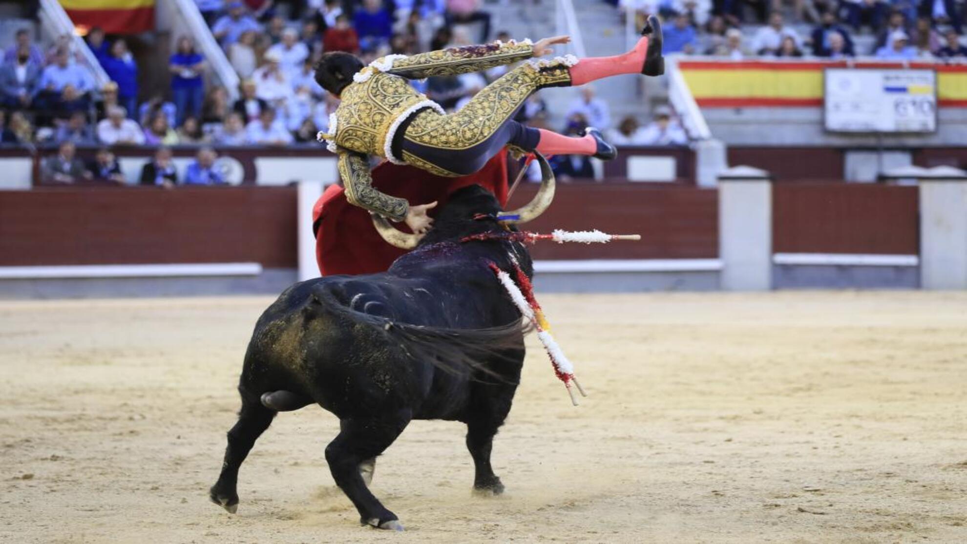 Álvaro Lorenzo es volteado y empitonado por su segundo toro.