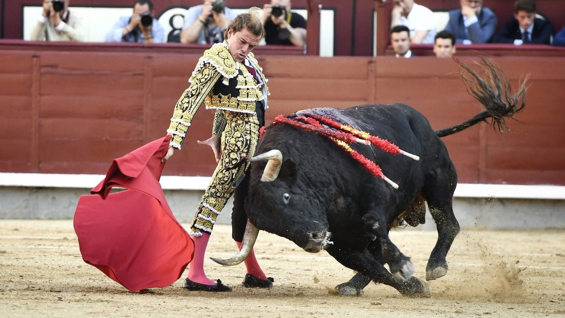 'Bastardero', un gran toro al que Javier Cortés plantó cara