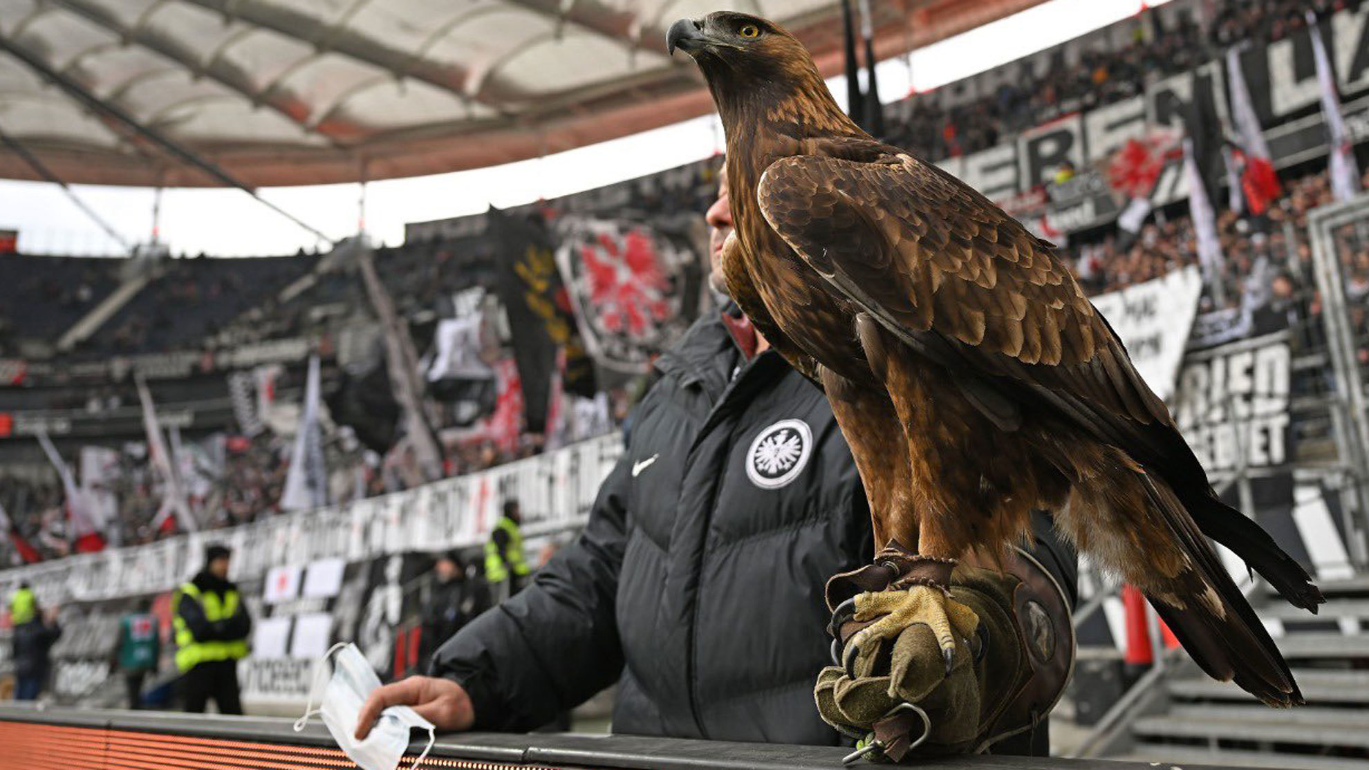 Attila, en un partido del Eintracht.