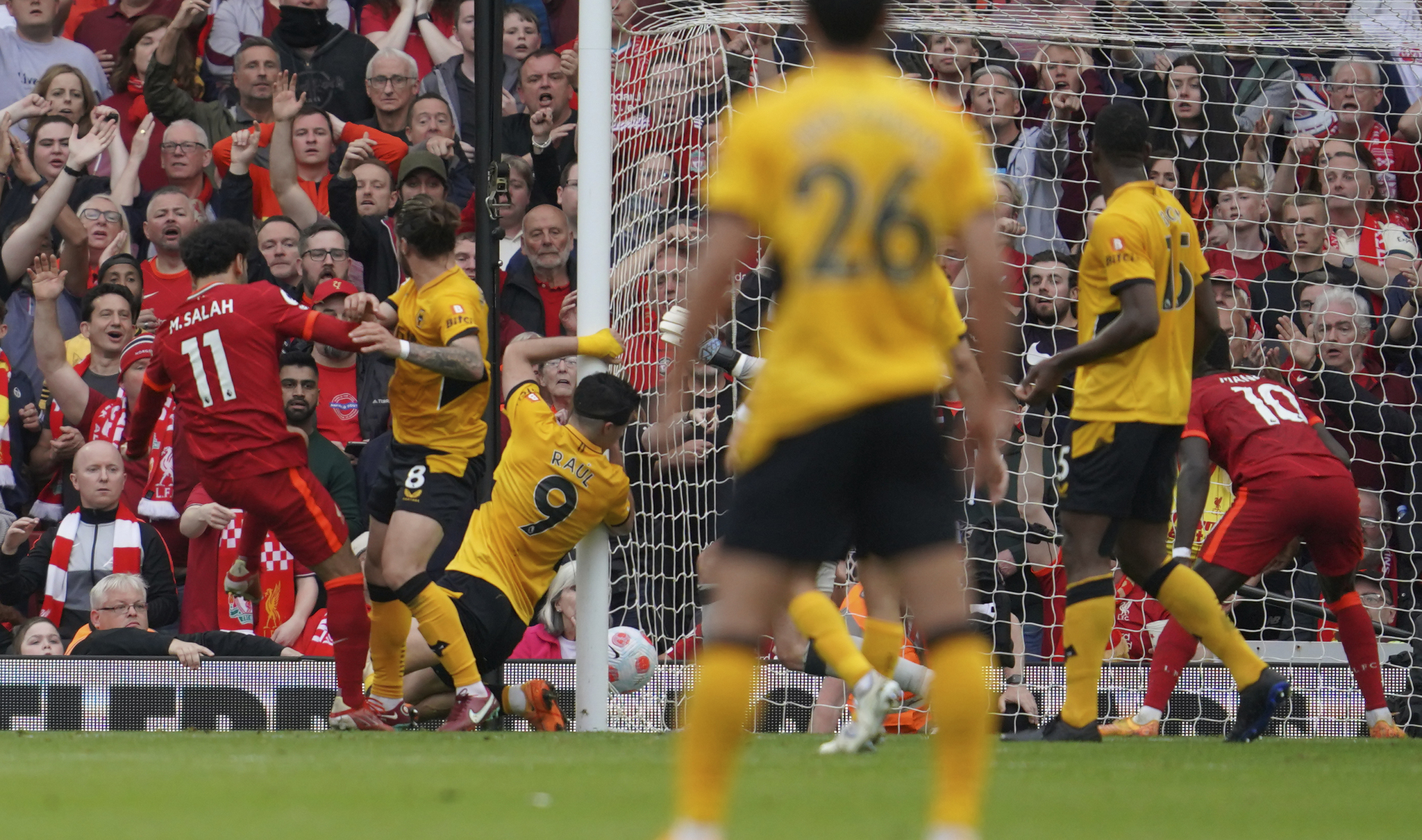 Salah celebra su gol al Wolverhampton