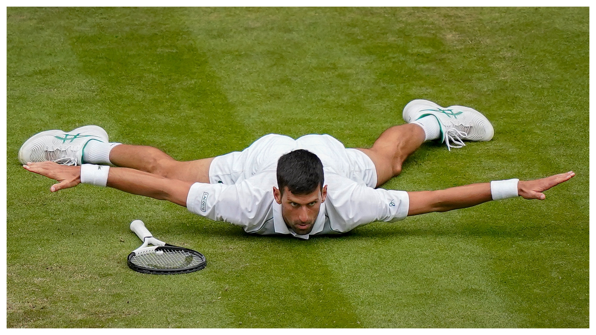 Djokovic hace el avión sobre la hierba