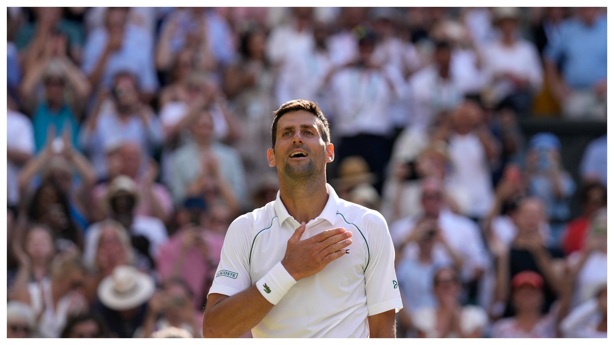 Djokovic manda amor a la grada de Wimbledon