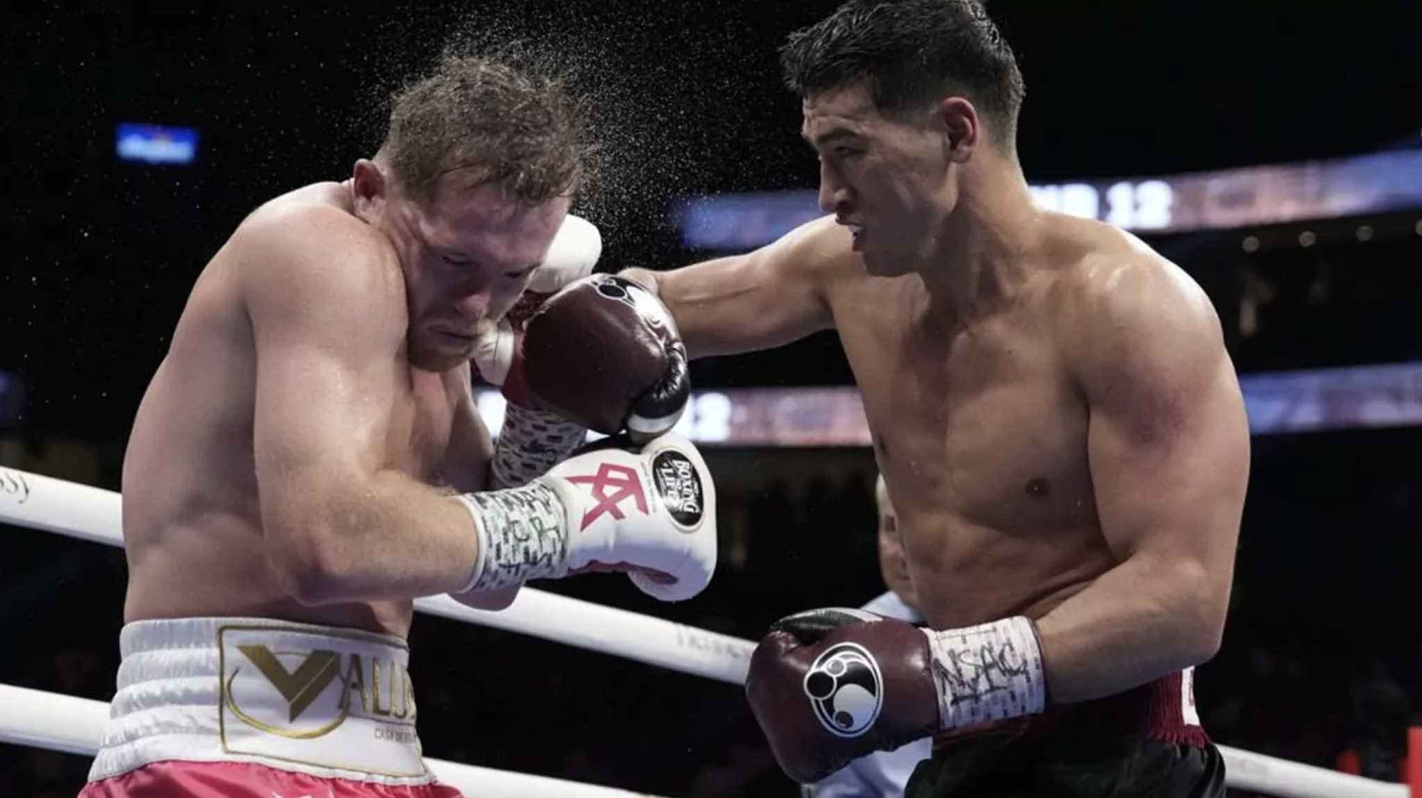 Bivol in his fight against Canelo