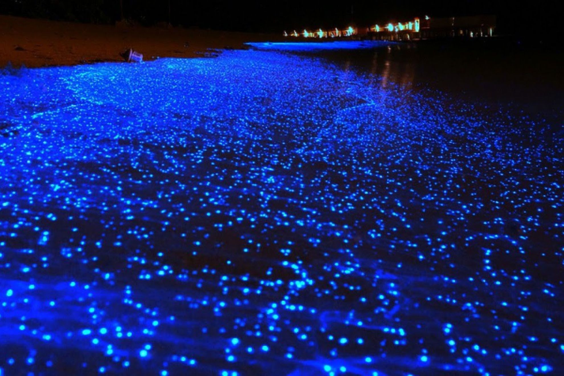 Playas bioluminiscentes en Espaa: dnde estn y por qu se llaman as