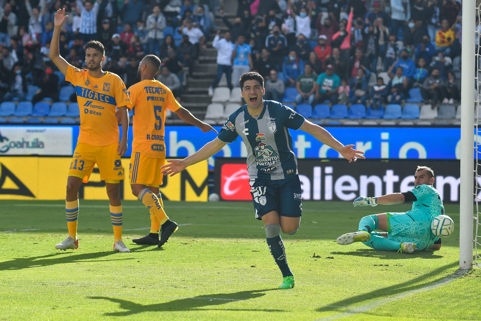 Nico Ibáñez en festejo de gol