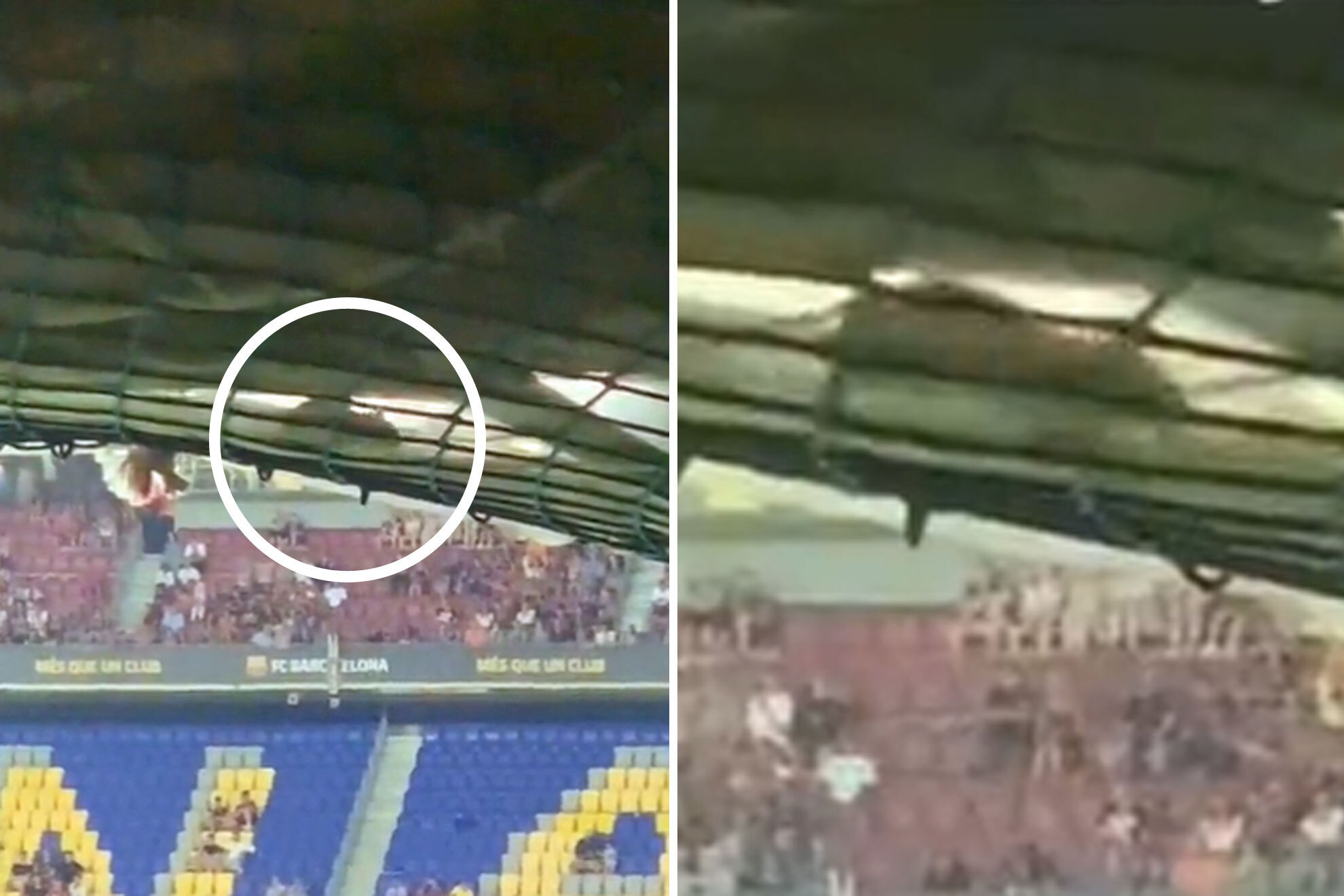 Una 'tiktoker' va a ver al Barça al Gamper... ¡y descubre ratas en el Camp Nou!