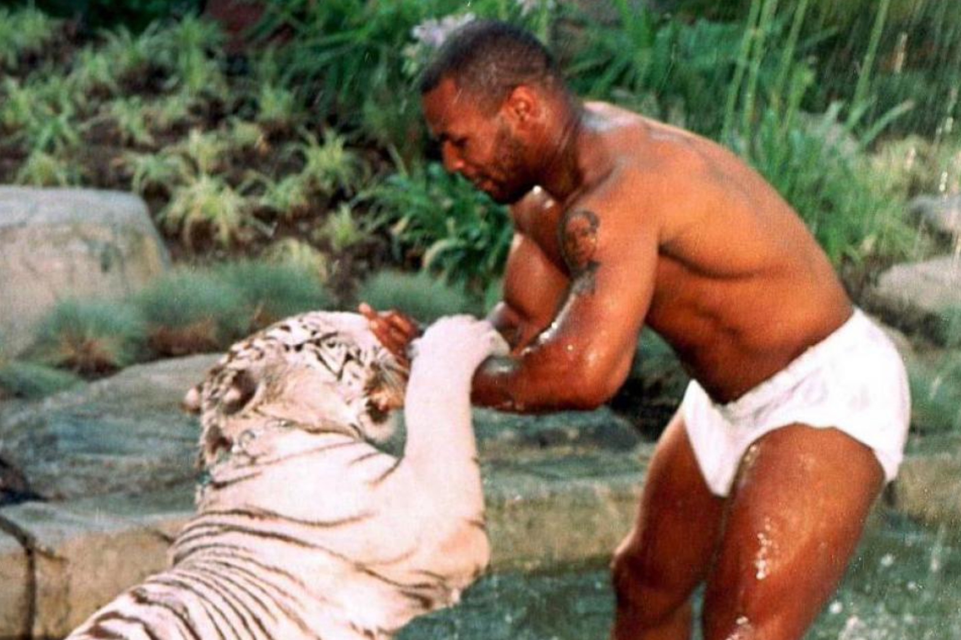 Mike Tyson, con uno de sus famosos tigres.