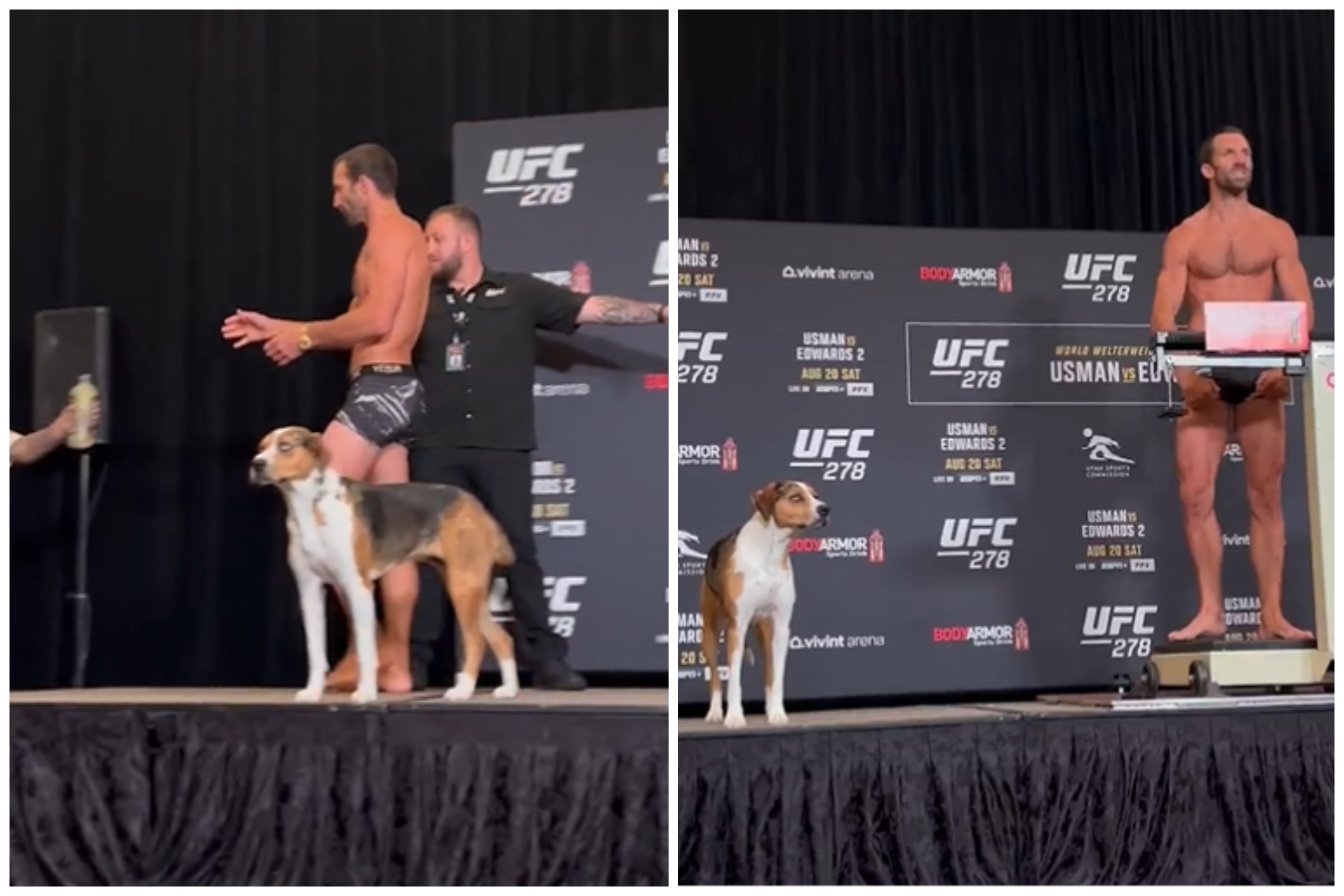 Luci, el perro de Luke Rockhold, se roba el pesaje en UFC 278