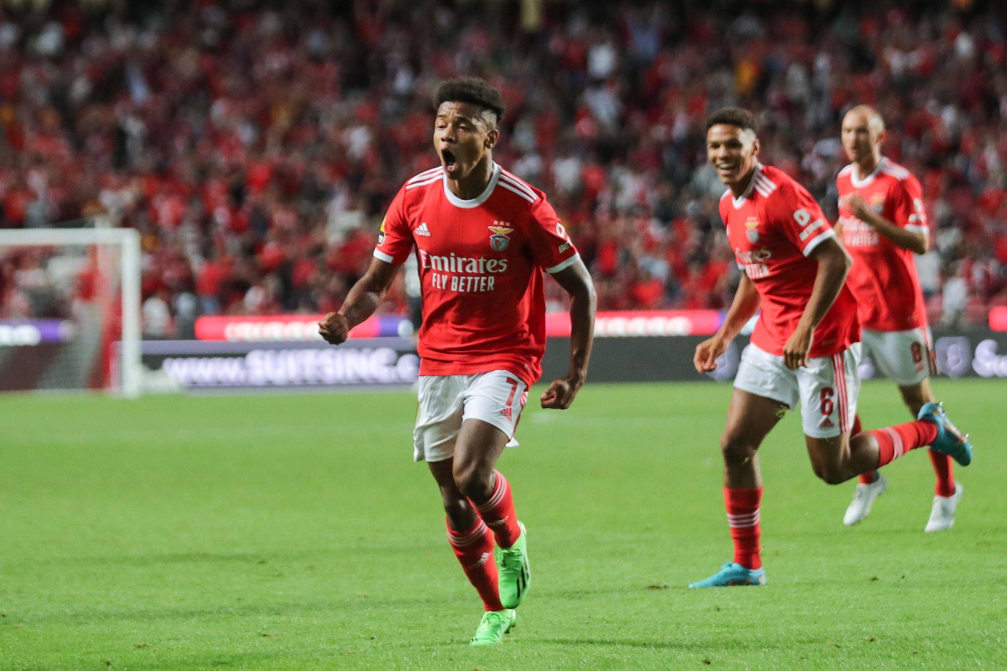 Benfica - Maccabi Haifa: resumen, resultado y goles