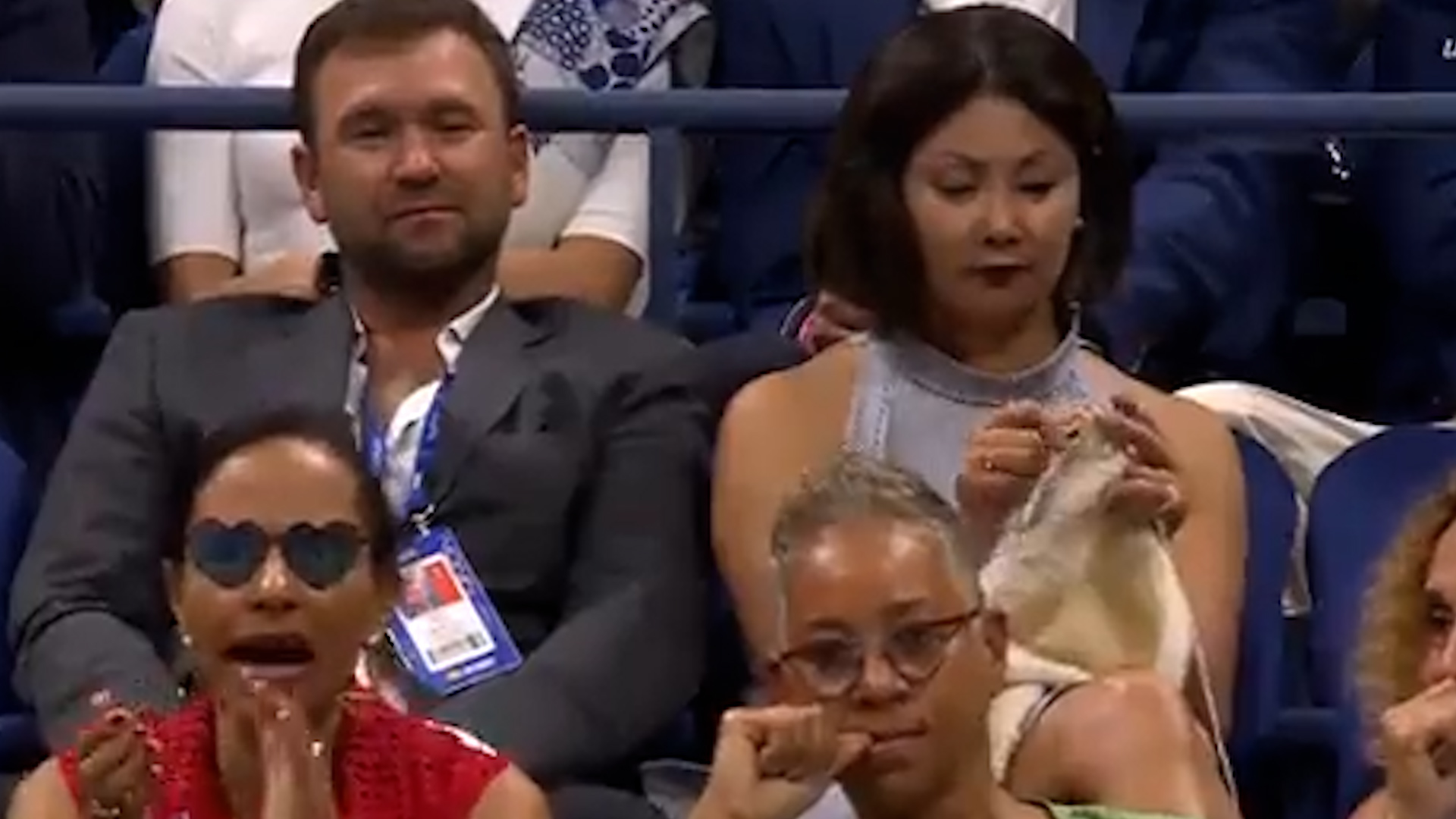 Bizarre moment at US Open: Woman caught knitting during semifinal