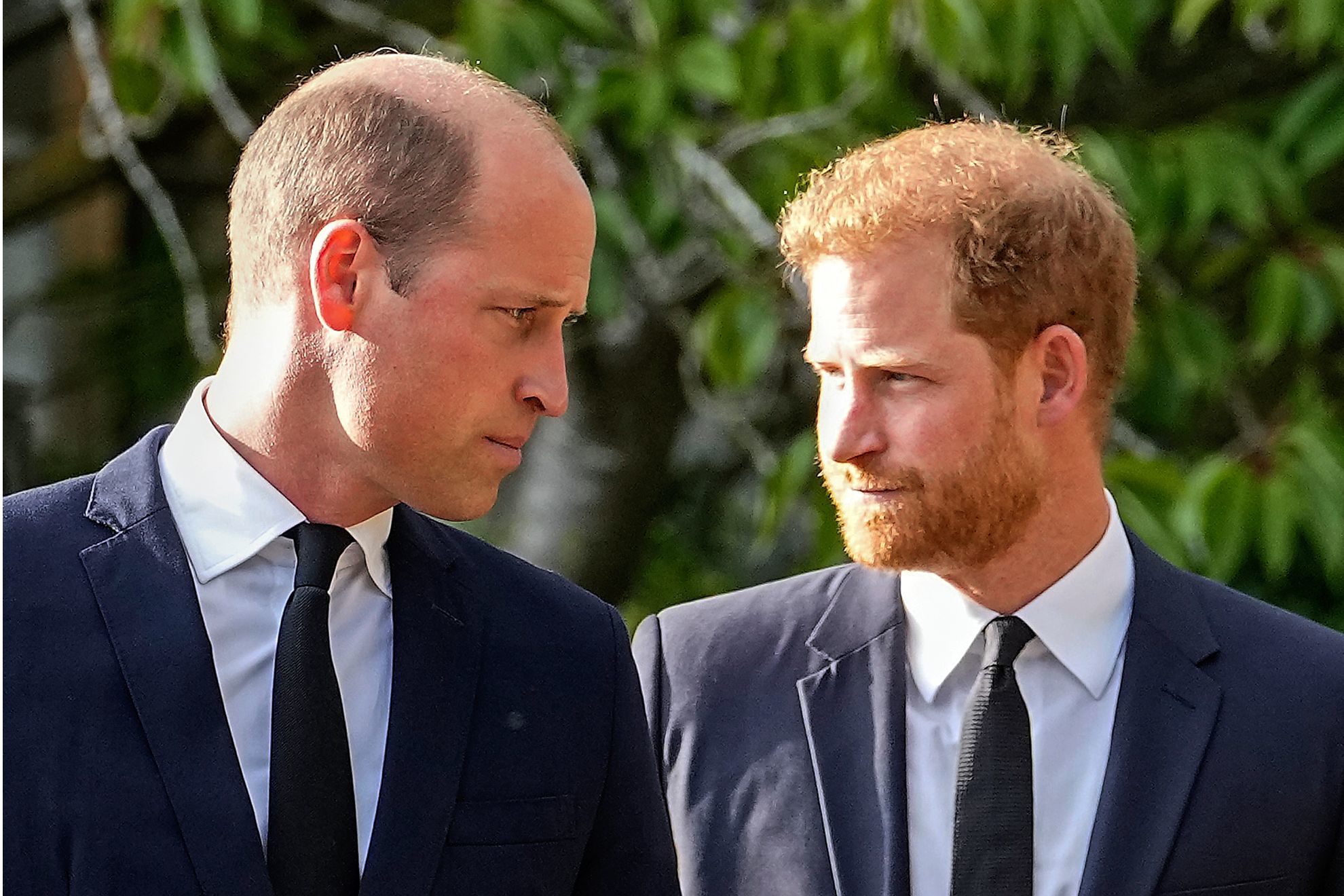 Who's Peter Phillips, the royal family member who could be the peacemaker  between Prince William and Prince Harry | Marca