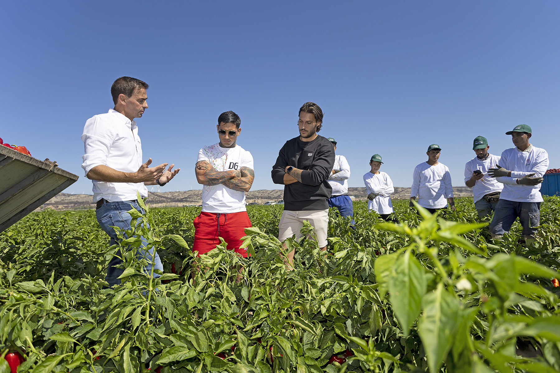 Chimy Ávila y Juan Cruz recolectando hortalizas/ VERLEAL