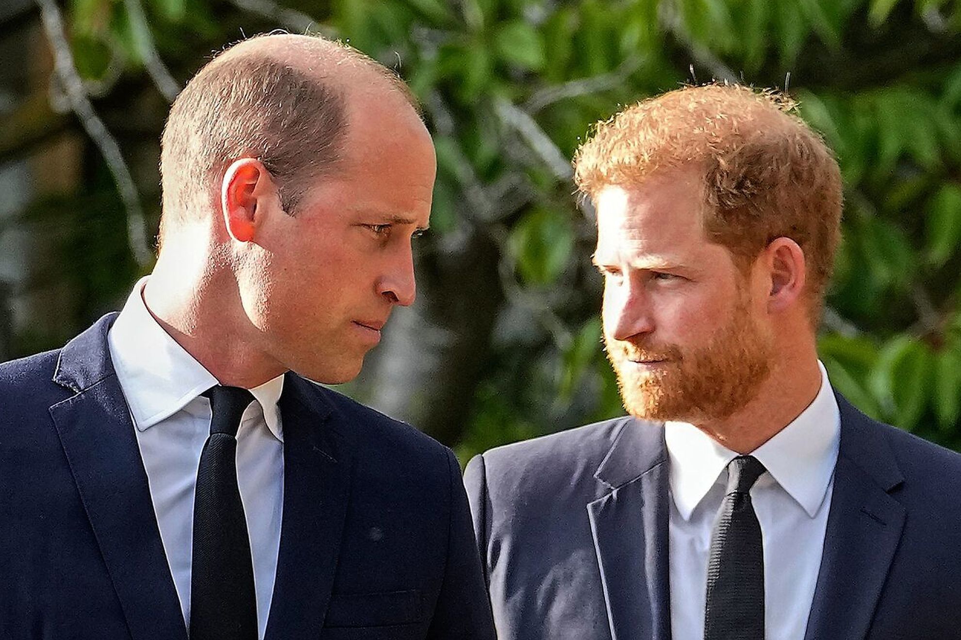 Prince William and Prince Harry / AP