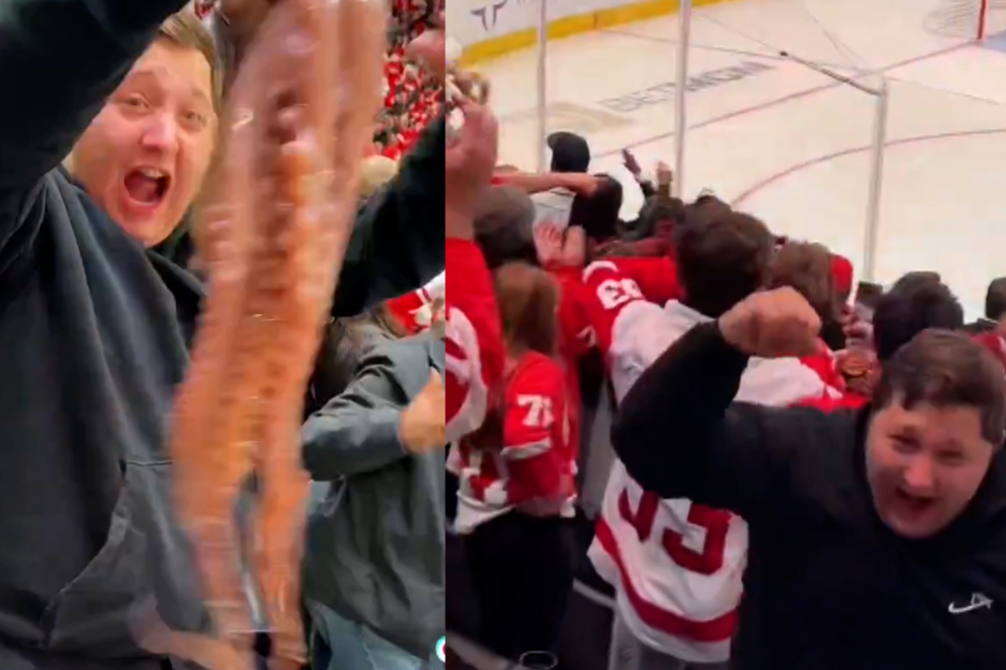 Red Wings fans threw 35 octopuses on ice in Joe Louis Arena farewell