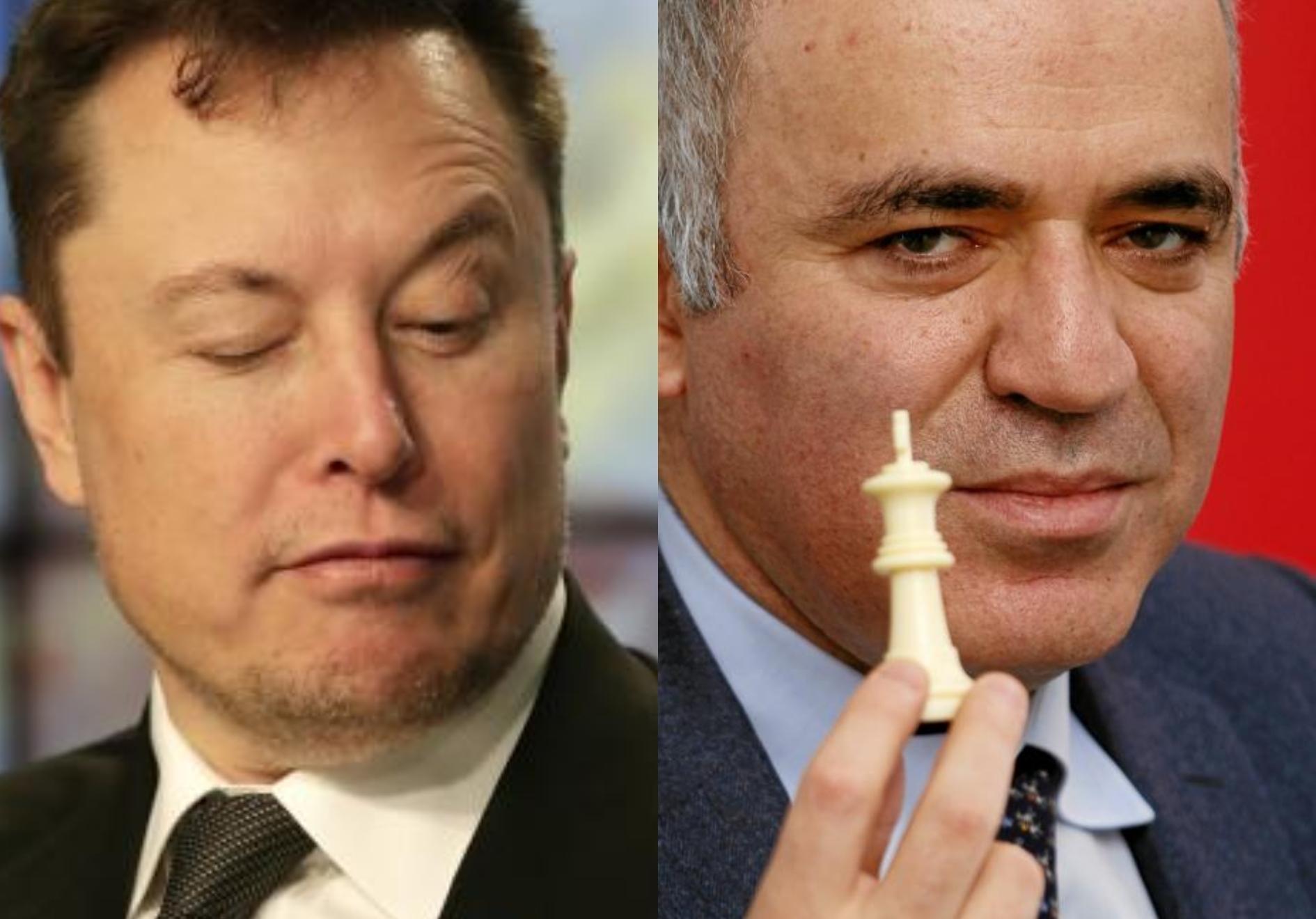 Elon Musk calienta su enfrentamiento con Gari Kasparov: "Es un idiota"