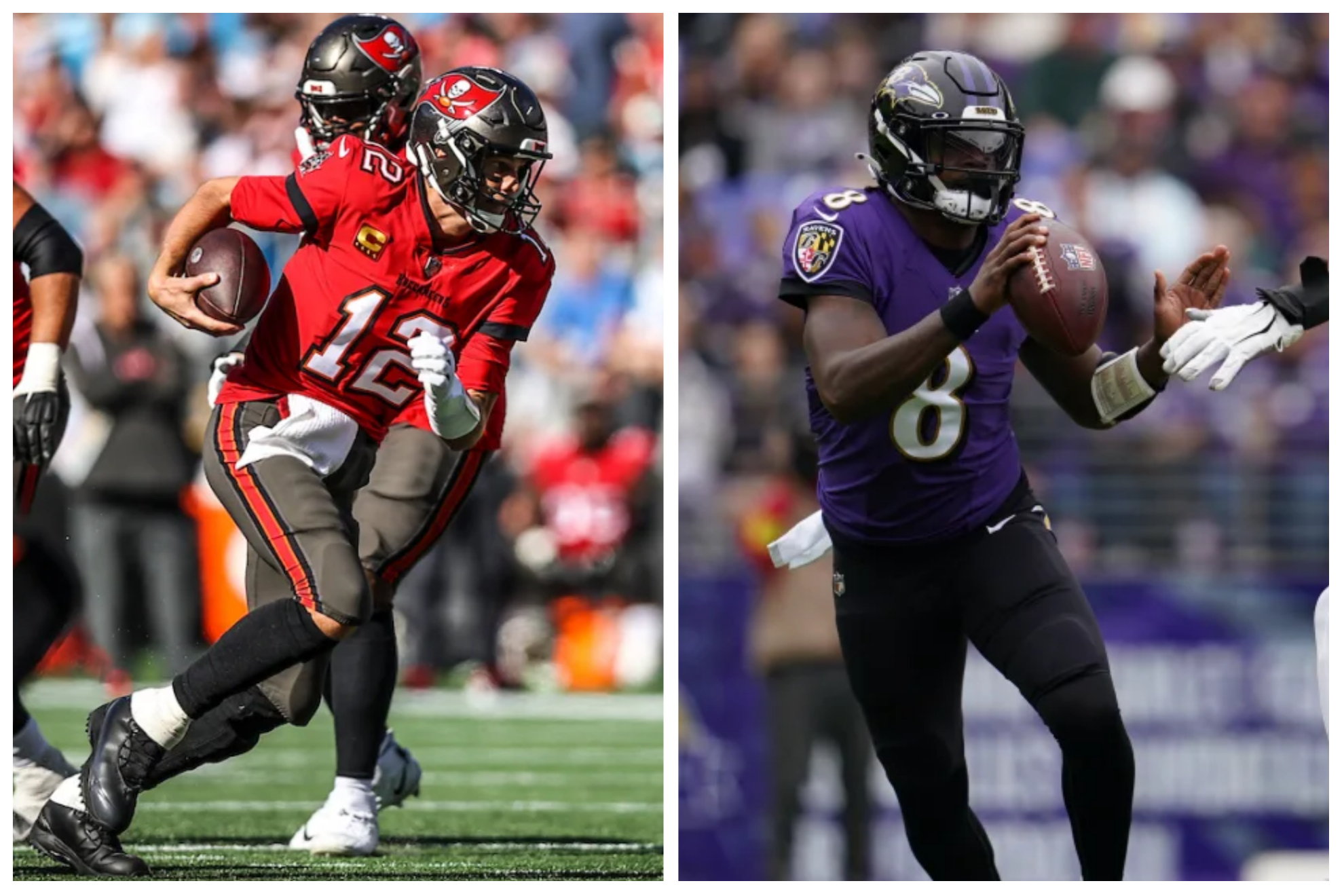 the buccaneers and the ravens