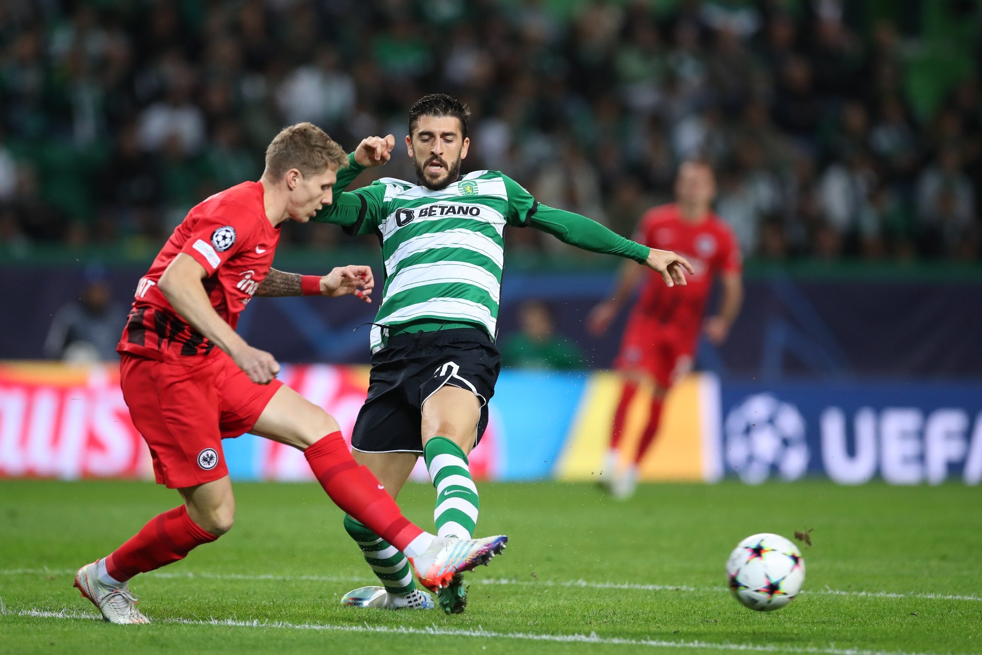 Liga dos Campeões: Sporting Portugal – Eintracht: resumo, resultado e golos