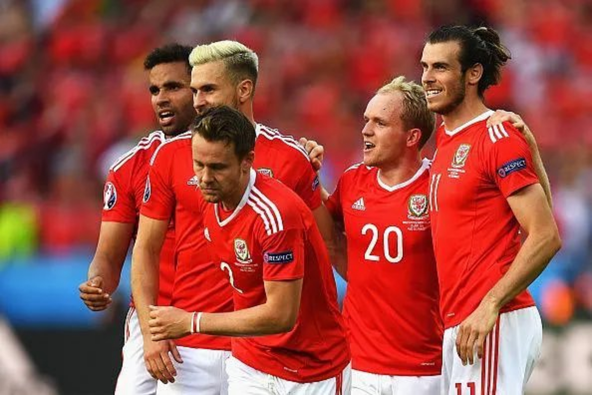 Chris Gunter and Jonathan Williams are in the Wales National Team for the World Cup alongside Gareth Bale.