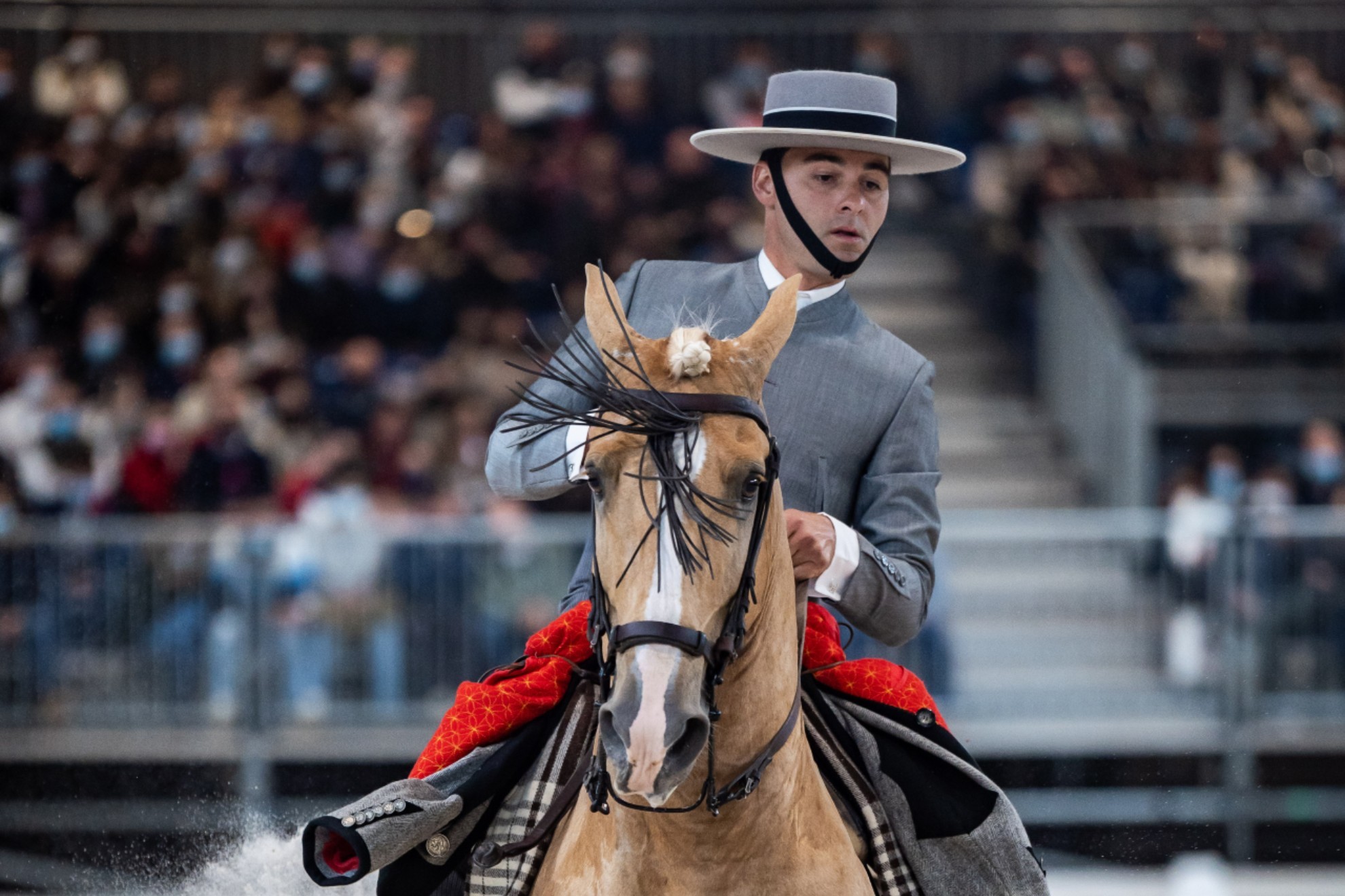 La Doma Vaquera vuelve a IFEMA Madrid Horse Week