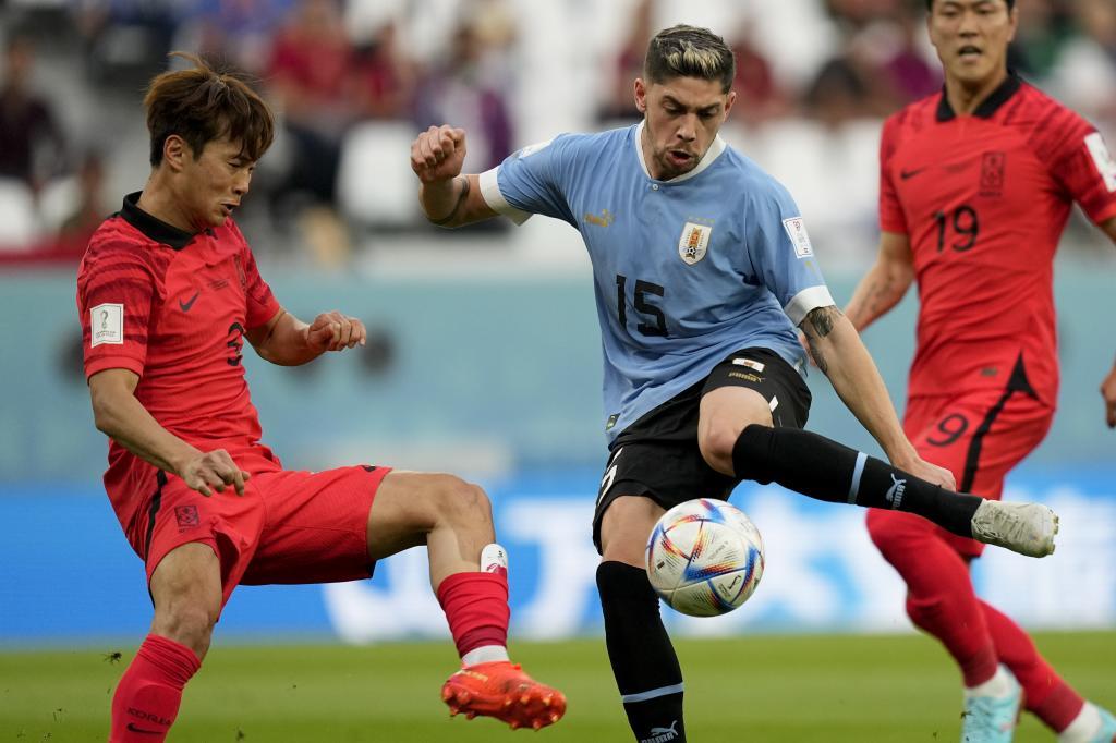 Por qué Uruguay es una potencia del fútbol? (aunque su seleccionador lo  niega), Deportes
