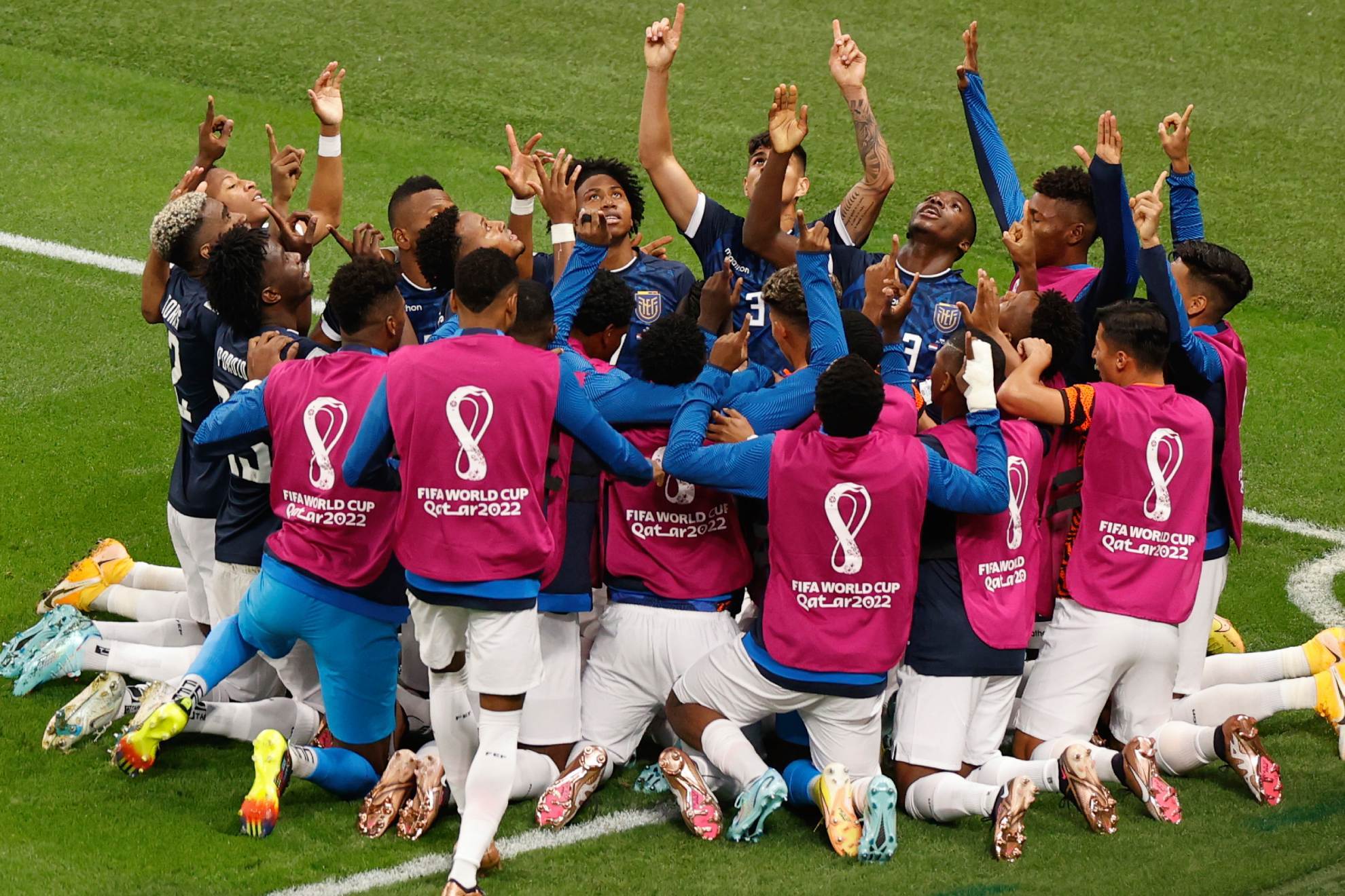 Los jugadores de Ecuador celebran su empate ante Países Bajos.