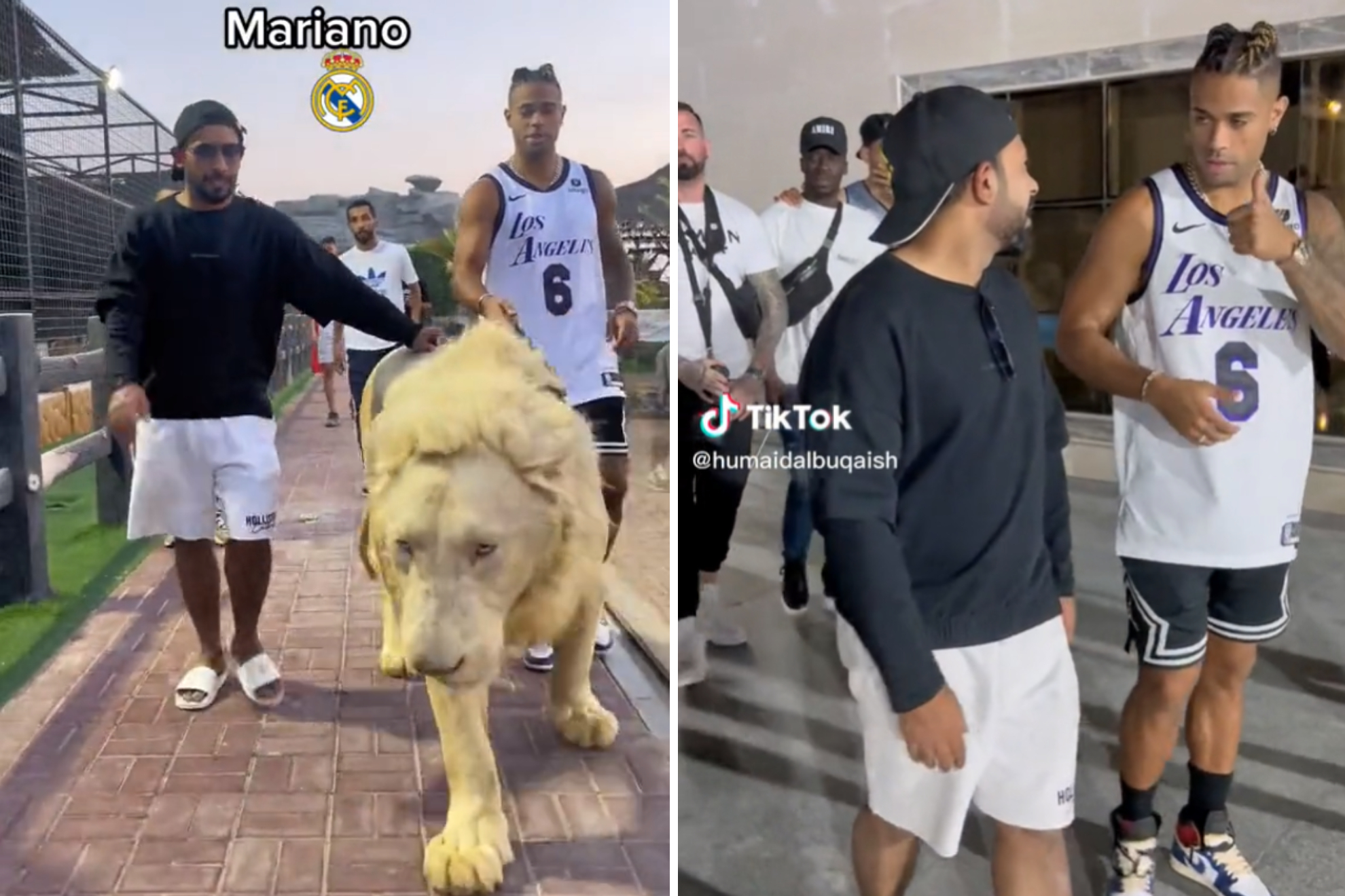 Las vacaciones de Mariano paseando un león en Dubái