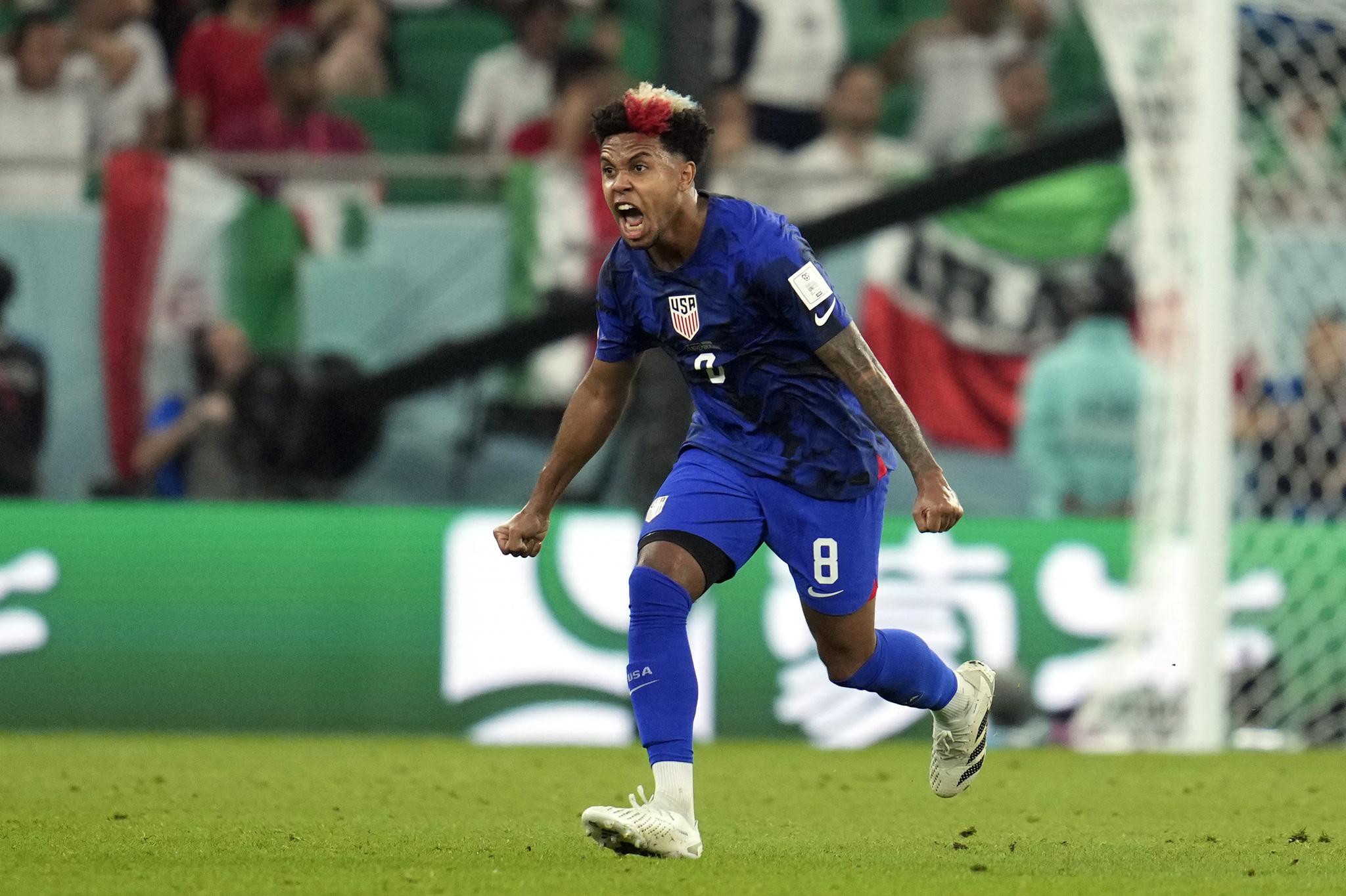 United States' Weston  lt;HIT gt;McKennie lt;/HIT gt; (8) celebrates after teammate Christian Pulisic scoring a goal during the World Cup group B soccer match between Iran and the United States at the Al Thumama Stadium in Doha, Qatar, Tuesday, Nov. 29, 2022. (AP Photo/Ashley Landis)