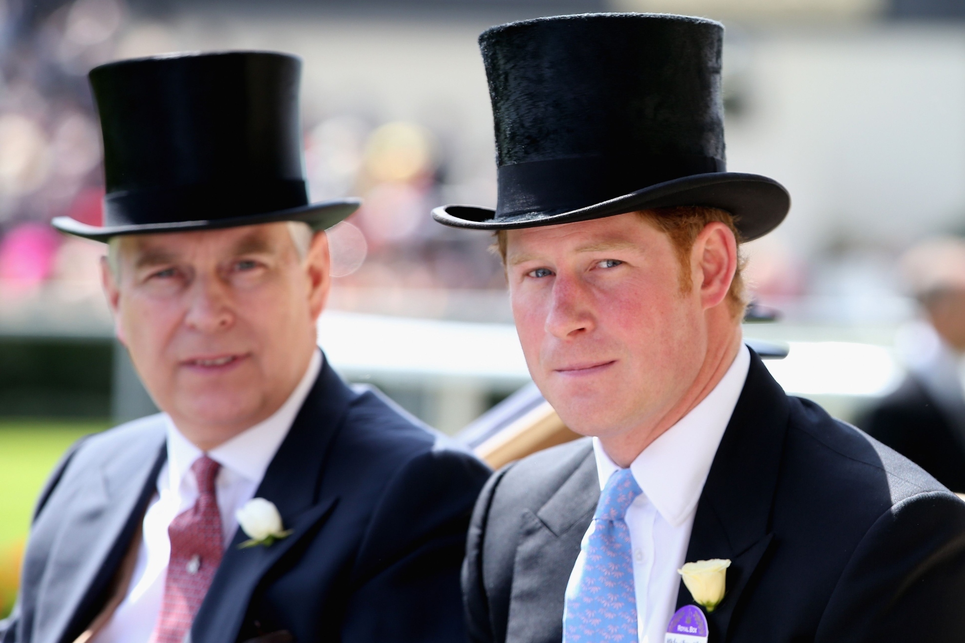 Prince Harry and Prince Andrew unable to represent the King if new law passes