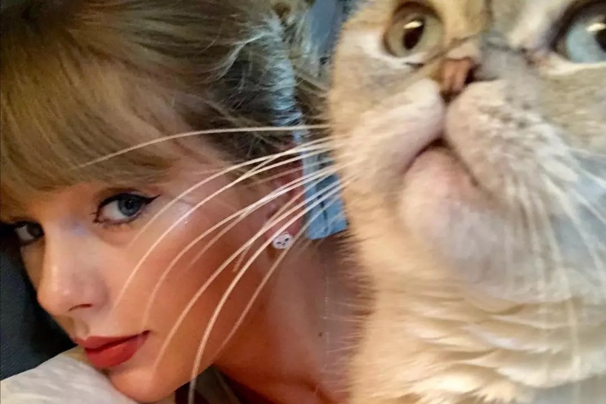 Taylor Swift and her pet, named Olivia Benson.
