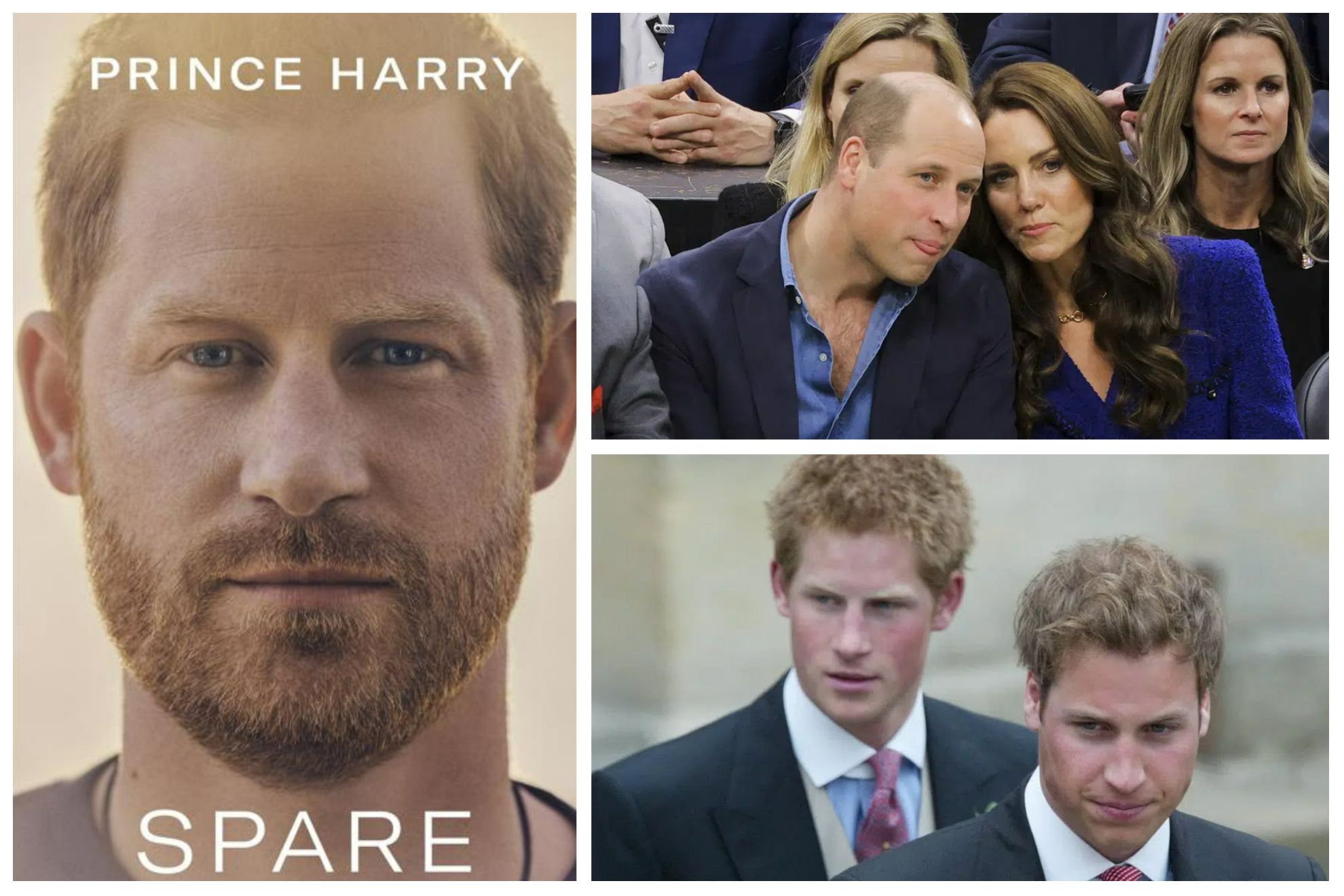 Prince Harry's memoir doesn't seem like it will get him in any better terms with his brother