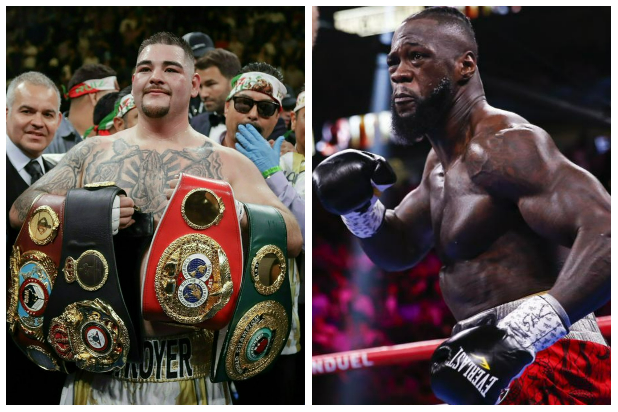 Andy Ruiz and Deontay Wilder will fight to be the #1 contender for the WBC heavyweight belt.