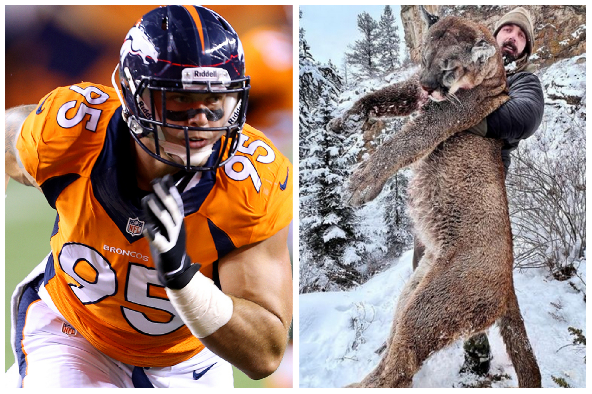 Former Broncos defensive end Derek Wolfe hunted a mountain lion.