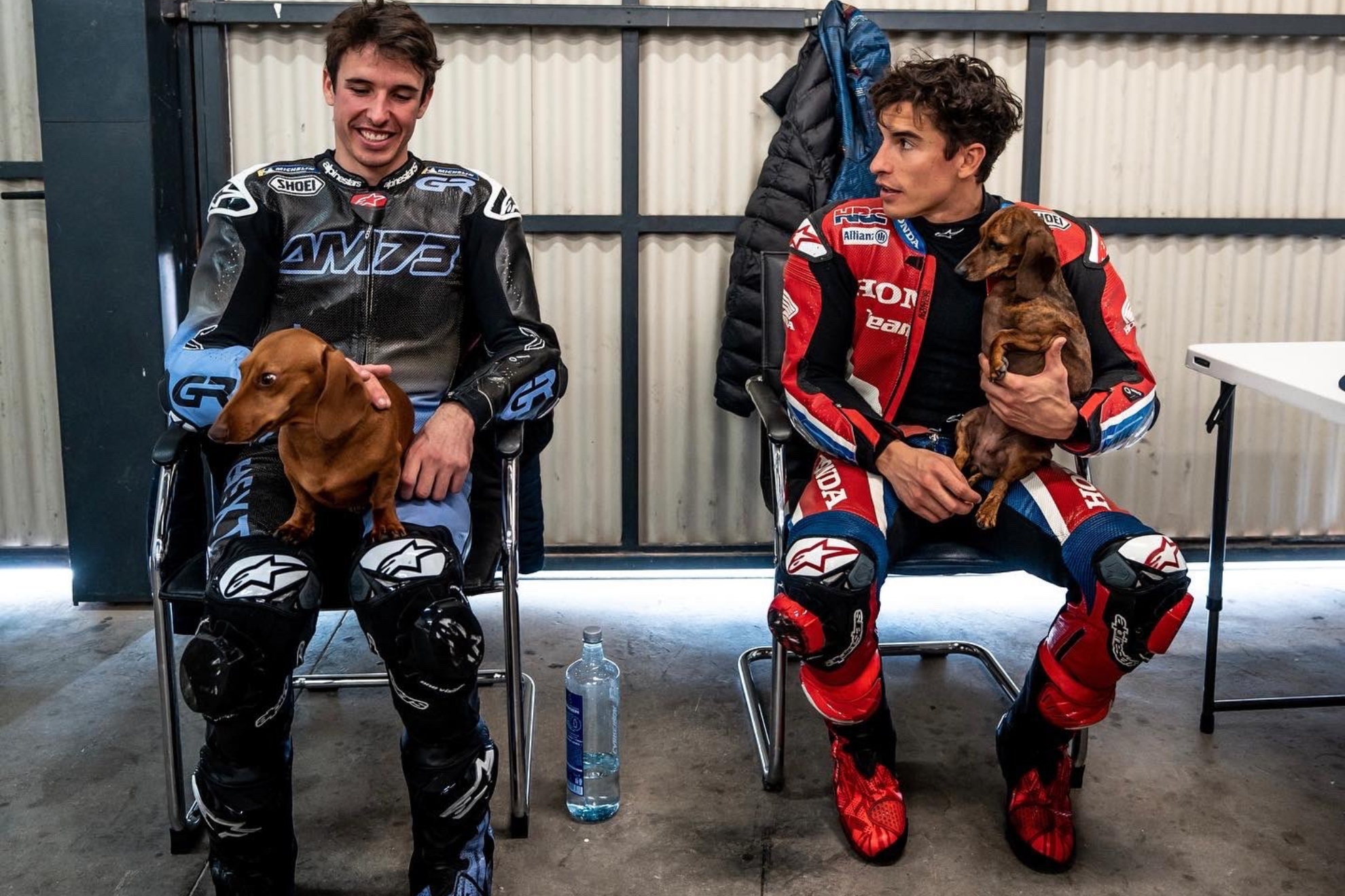 lex Mrquez, junto a Marc Mrquez, en MotorLand Aragn... con sus perros.