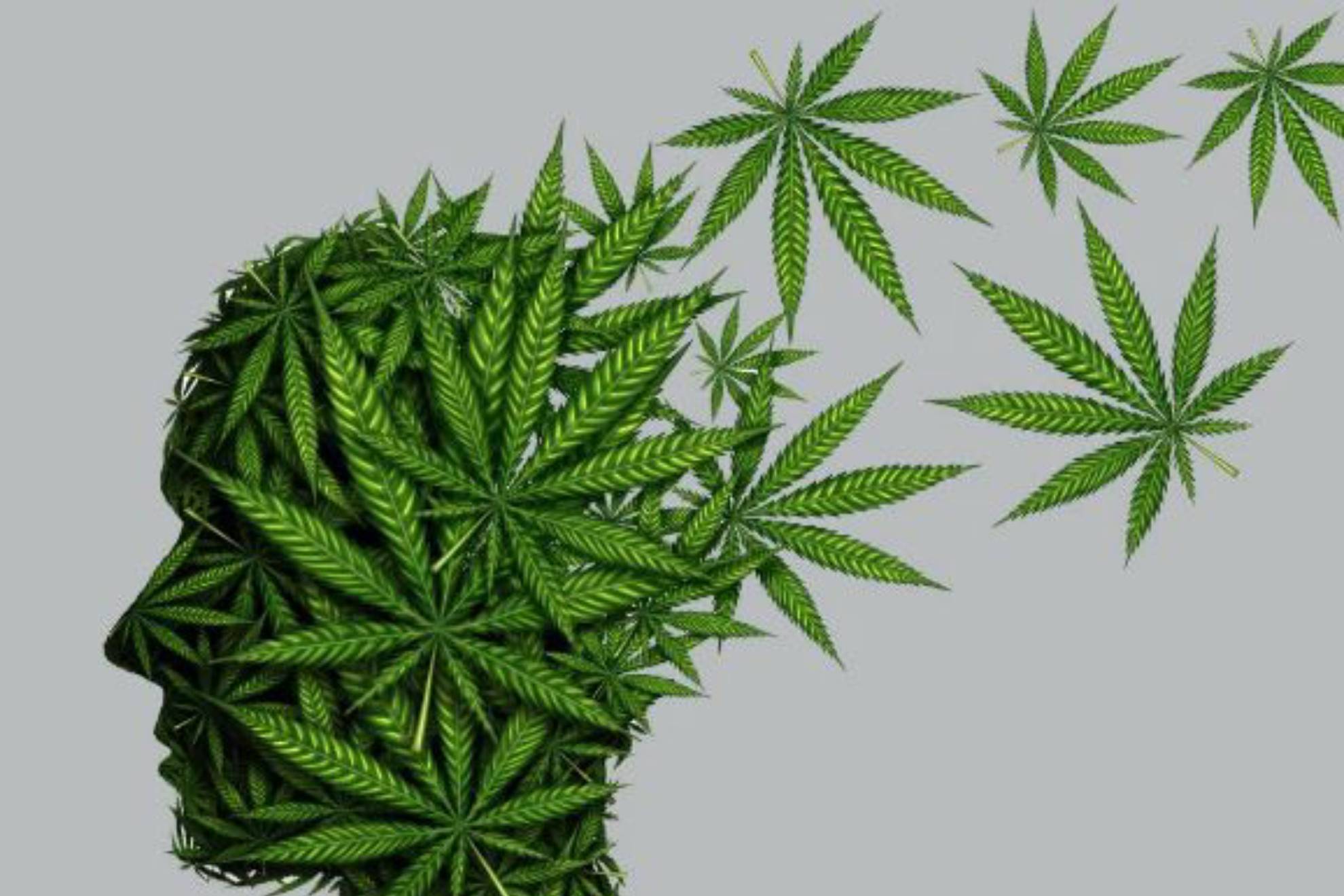 Prdida de memoria por consumo de cannabis? Depende de estos factores