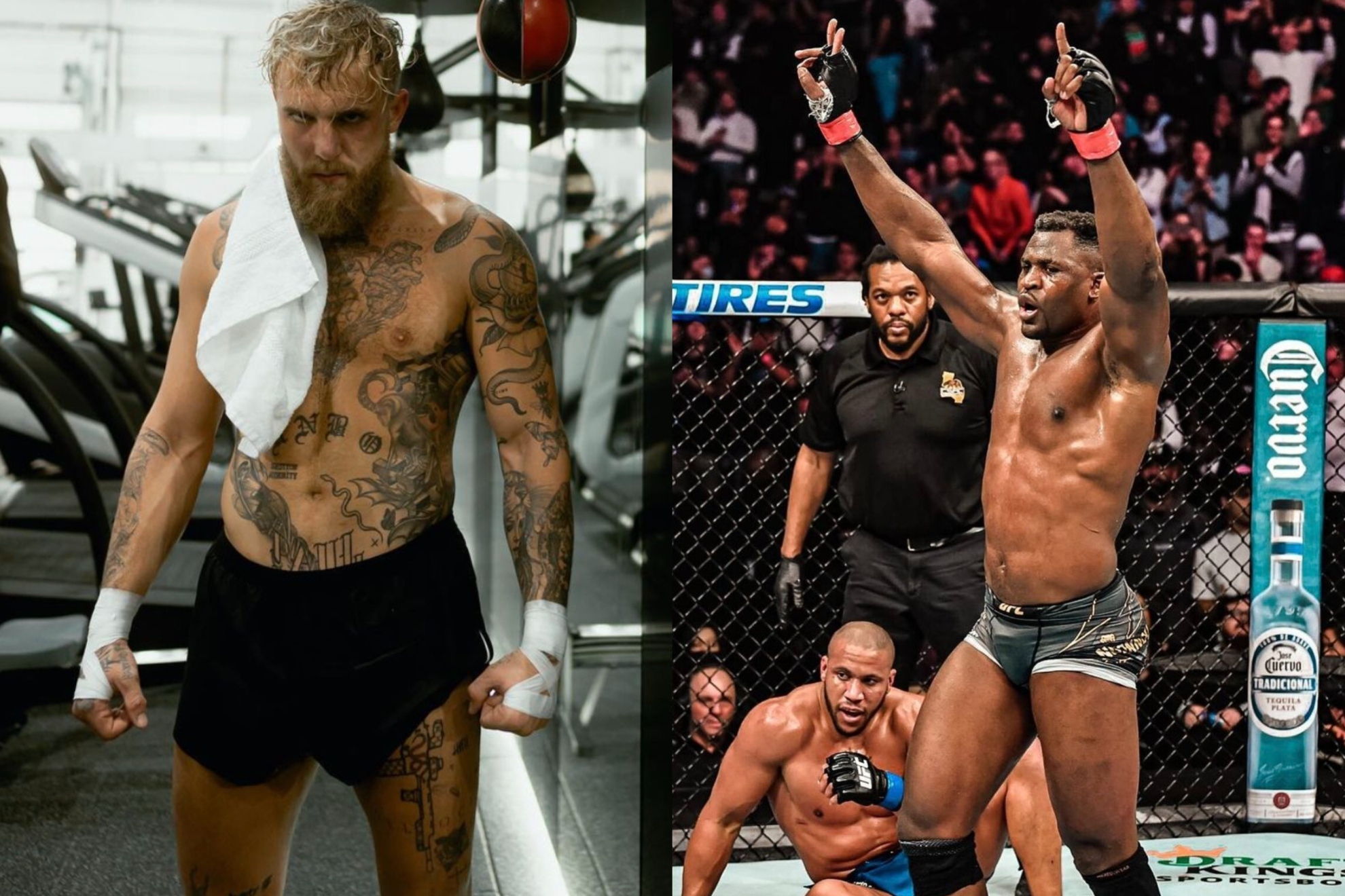 Boxing: Jake Paul reveals he spoke to Francis Ngannou about joining his  promotion company | Marca
